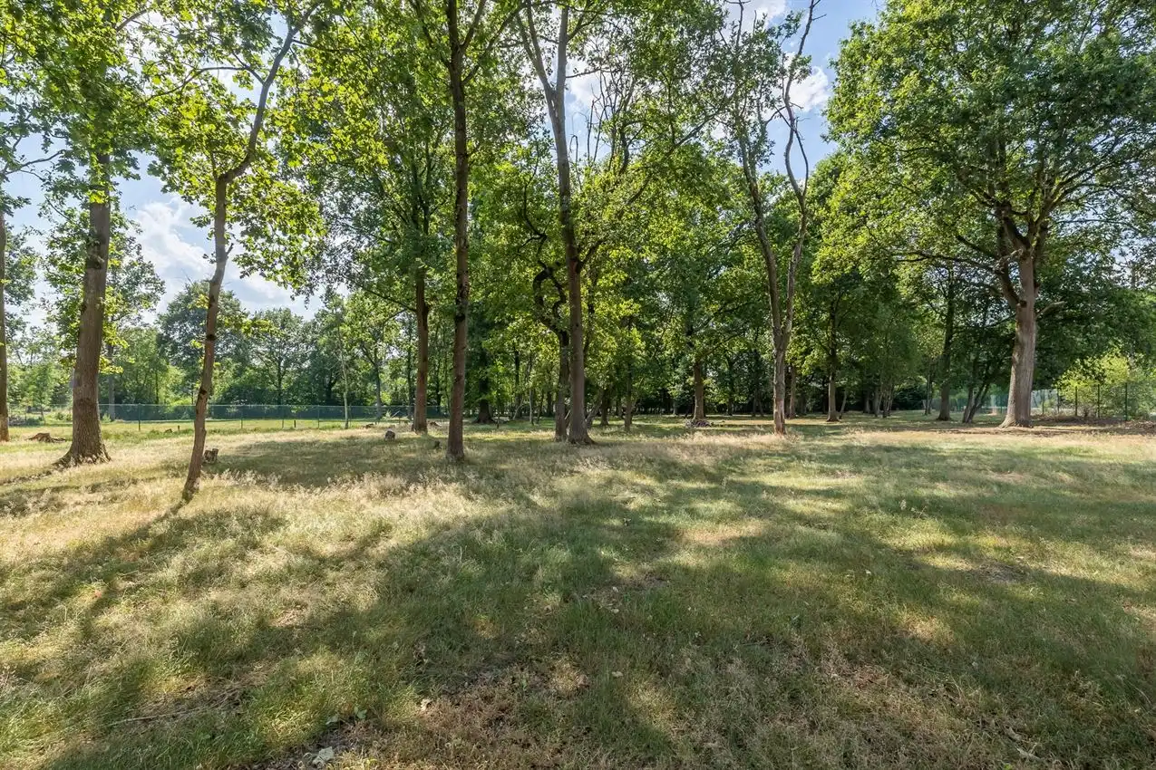 Landelijk wonen op uitzonderlijk perceel van 1ha50a met volop ruimte, privacy en mogelijkheden foto 3