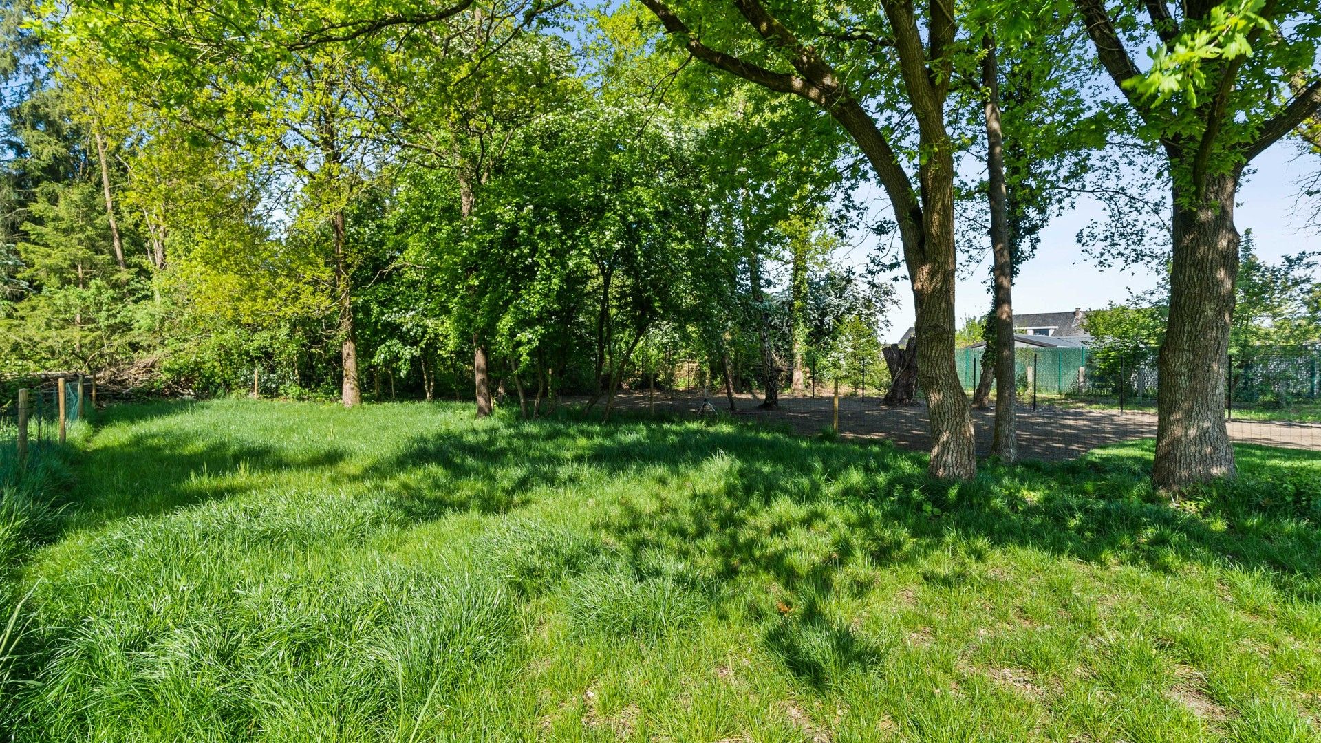 Huis te koop foto 33