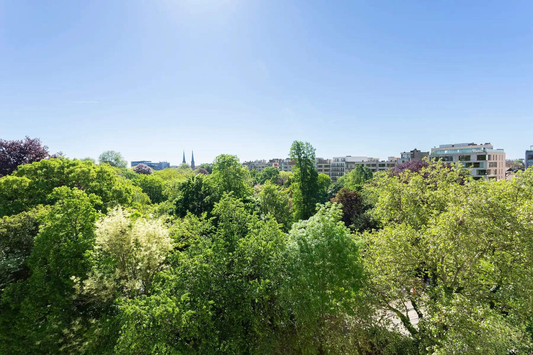 Stijlvol dakappartement met terras aan het Stadspark foto 2