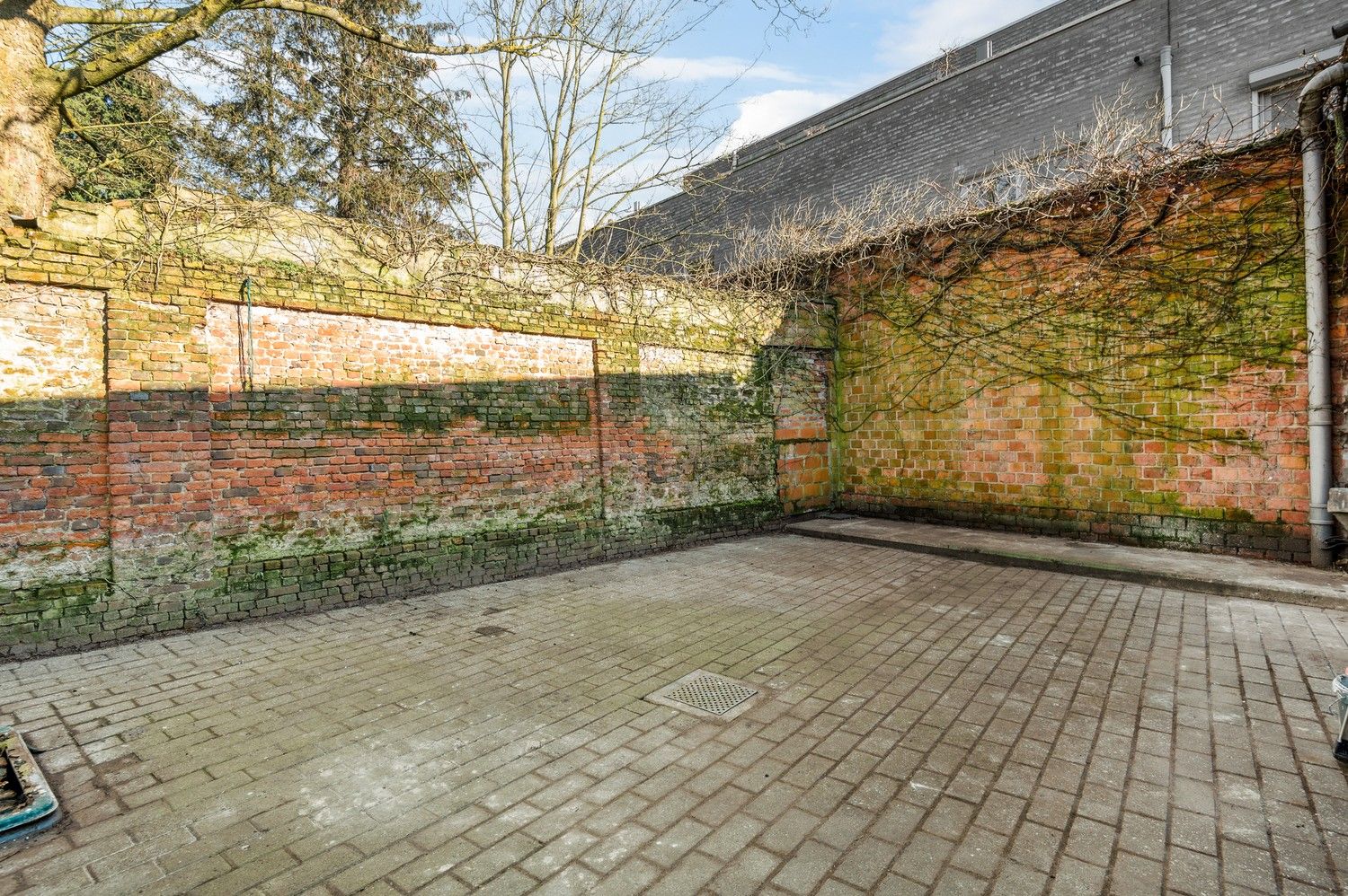 Nieuwbouw handelspand in centrum Kapellen foto 8