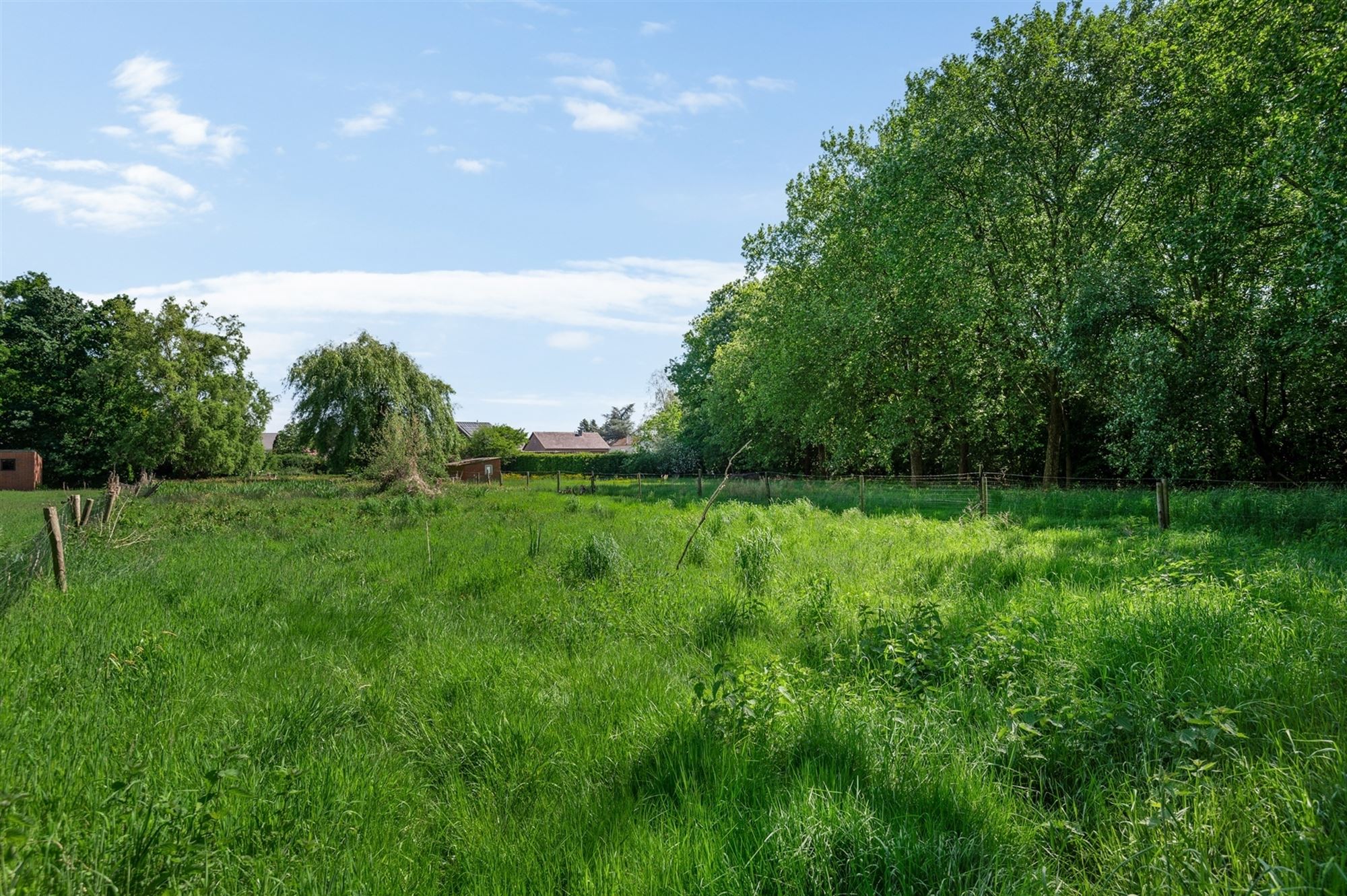 Verzorgde laagbouwvilla op ruim 1ha te Putte foto 13