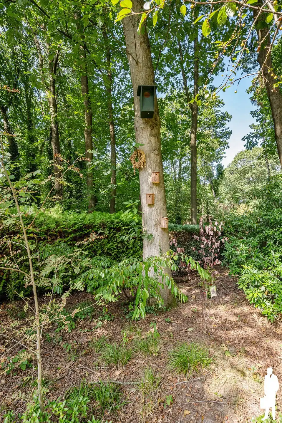 Volledig gerenoveerde gelijkvloerse woning met 2 slaapkamers en zonnige tuin in een rustige, bosrijke omgeving te Essen Wildert foto 49