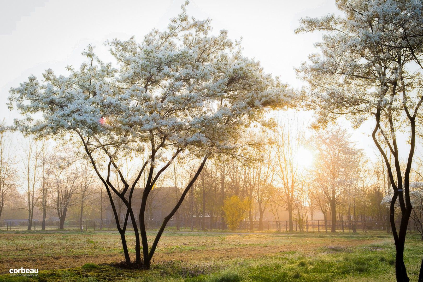 14 appartementen op een zucht van het natuurgebied de Hoge Blekker foto 11