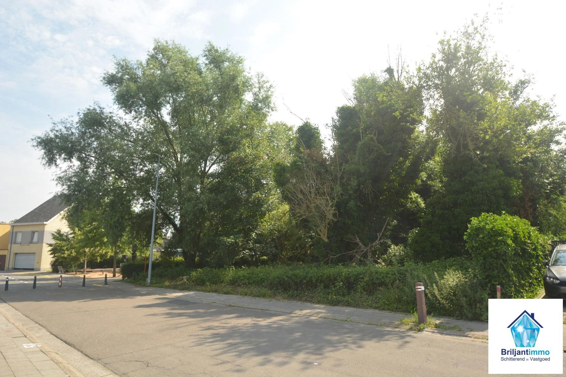 Bouwgrond voor halfopen bebouwing op toplocatie in Zemst foto 5