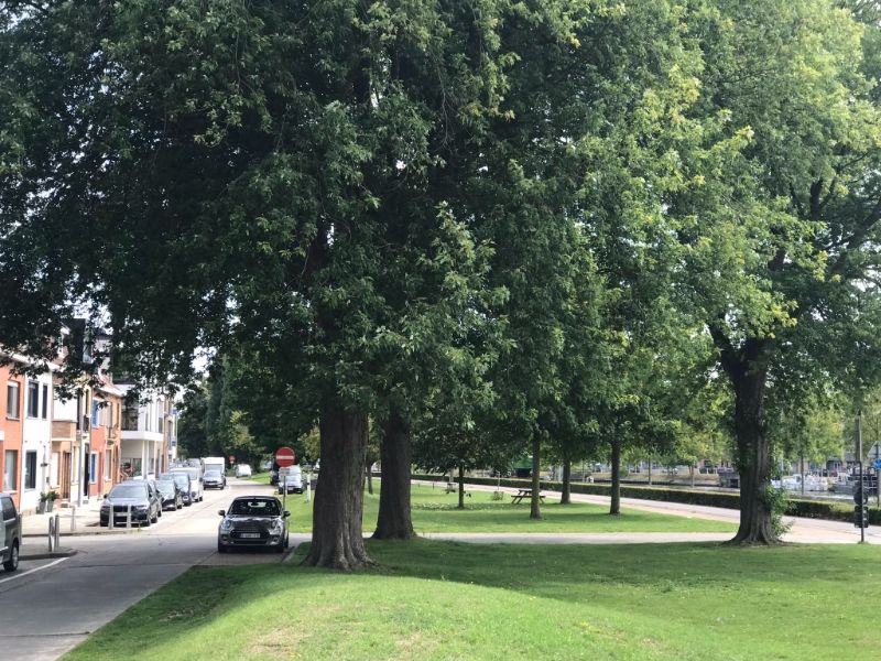 Rustig en zongeoriënteerd 3 slk appartement (153 m²), terras met een groen en weids uitzicht over het Kanaal Gent-Oostende, kelder met private autostaanplaats - op wandelafstand van AZ Sint Jan Campus en op 3 km  van het centrum van Brugge. foto 33