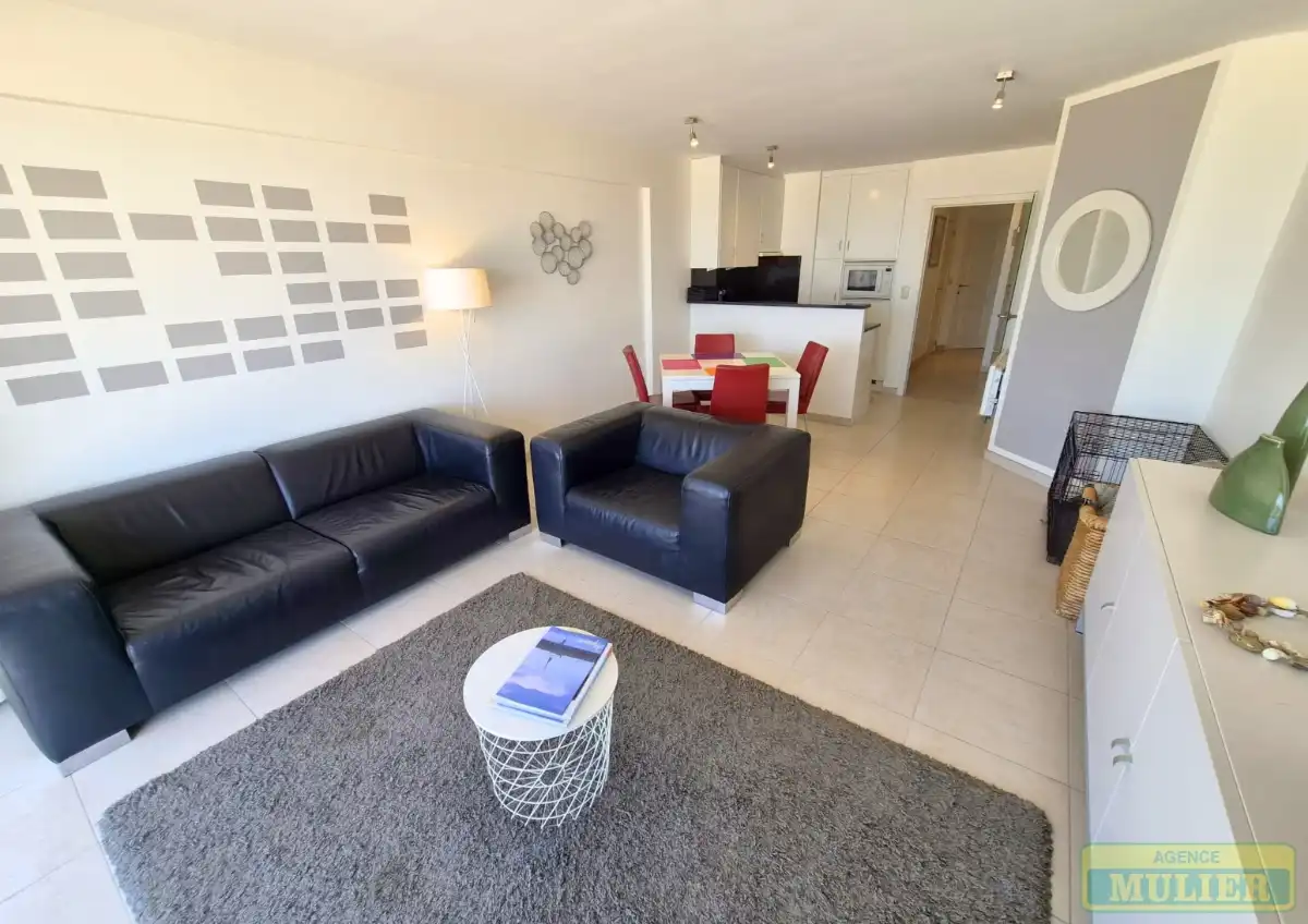 APPARTEMENT MET FRONTAAL ZEEZICHT TE KOOP TE DE PANNE foto 4