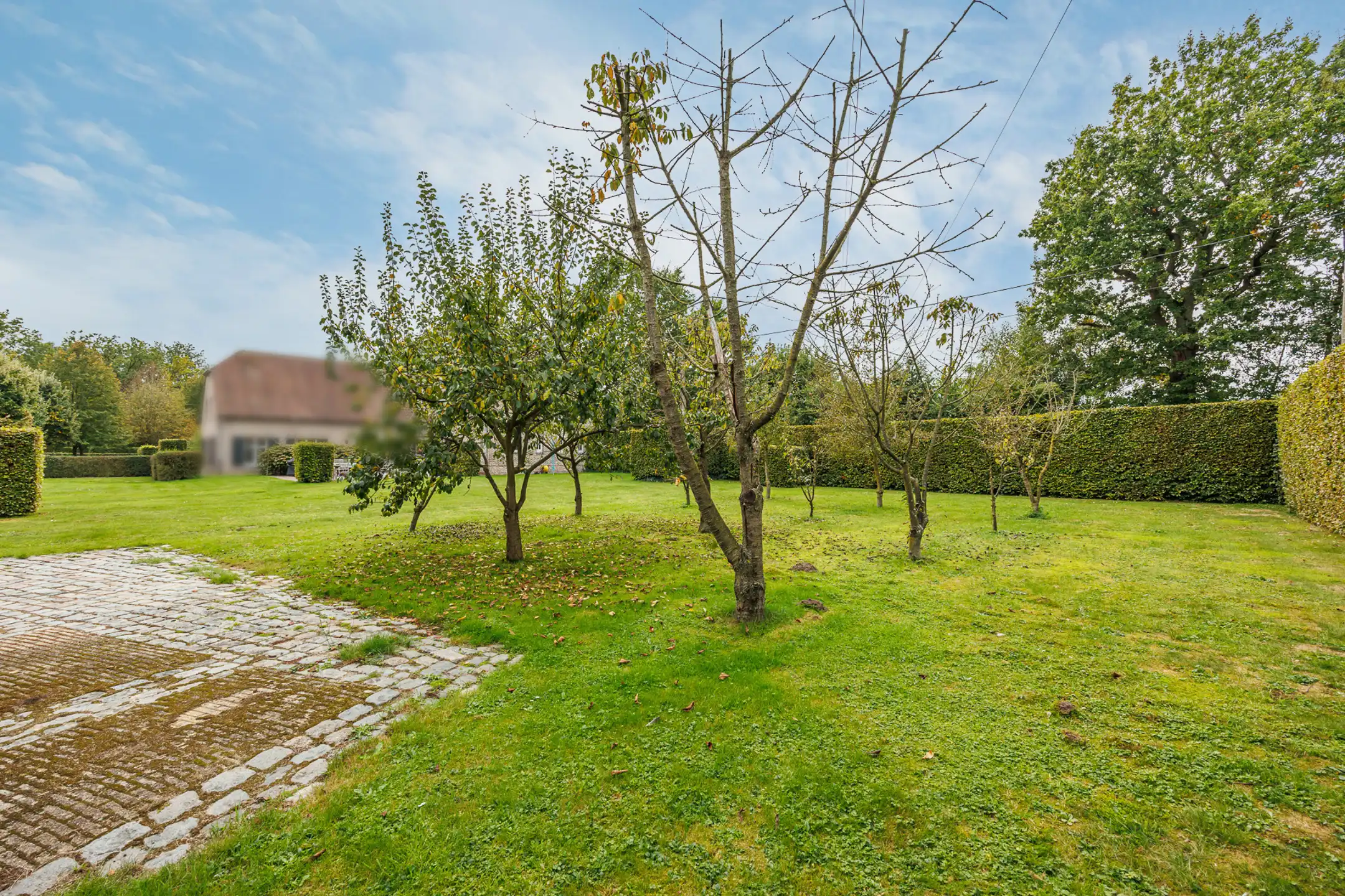 Ruime bouwgrond van 1.021m² voor open bebouwing foto 6