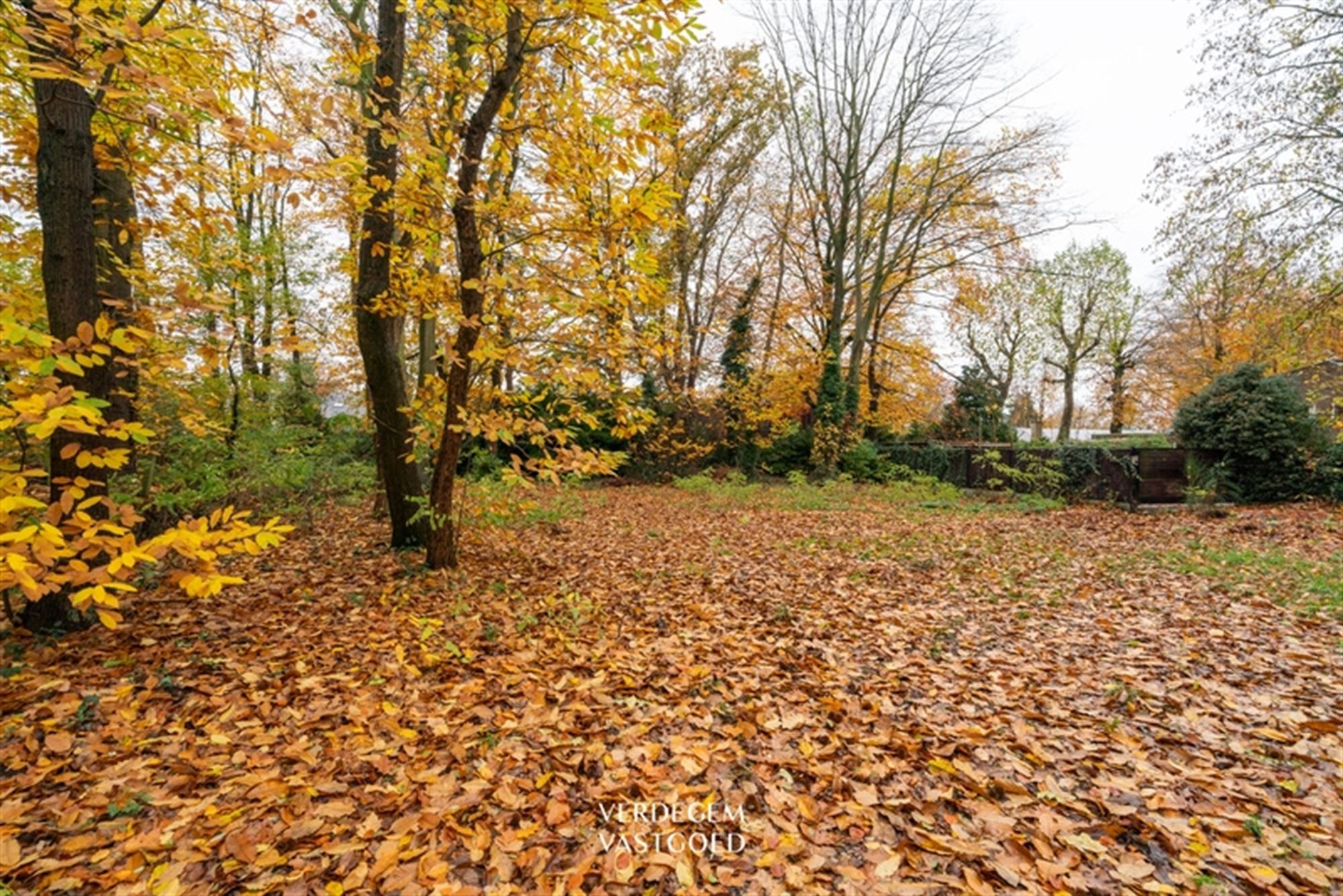 Residentieel gelegen bouwgrond in tweede bouwlijn foto 6