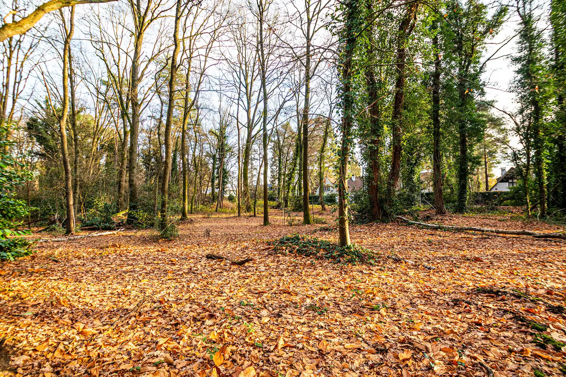 Exclusieve bouwgrond van 4.370 m² in “Golf & Meer”-domein foto 25