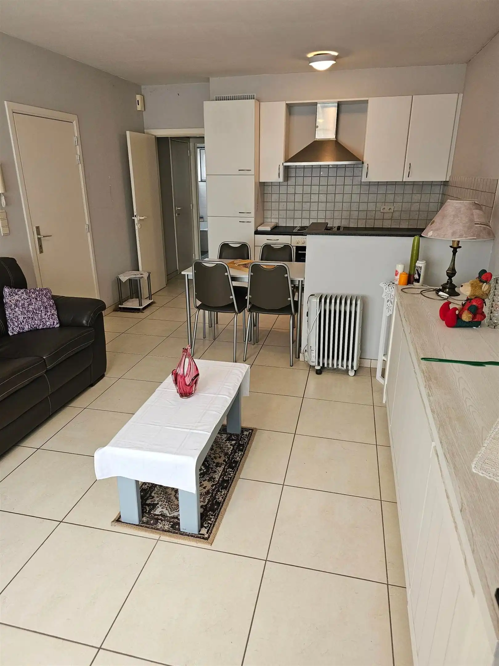 Gezellig gelijkvloers appartement met groot terras en één slaapkamer. foto 2