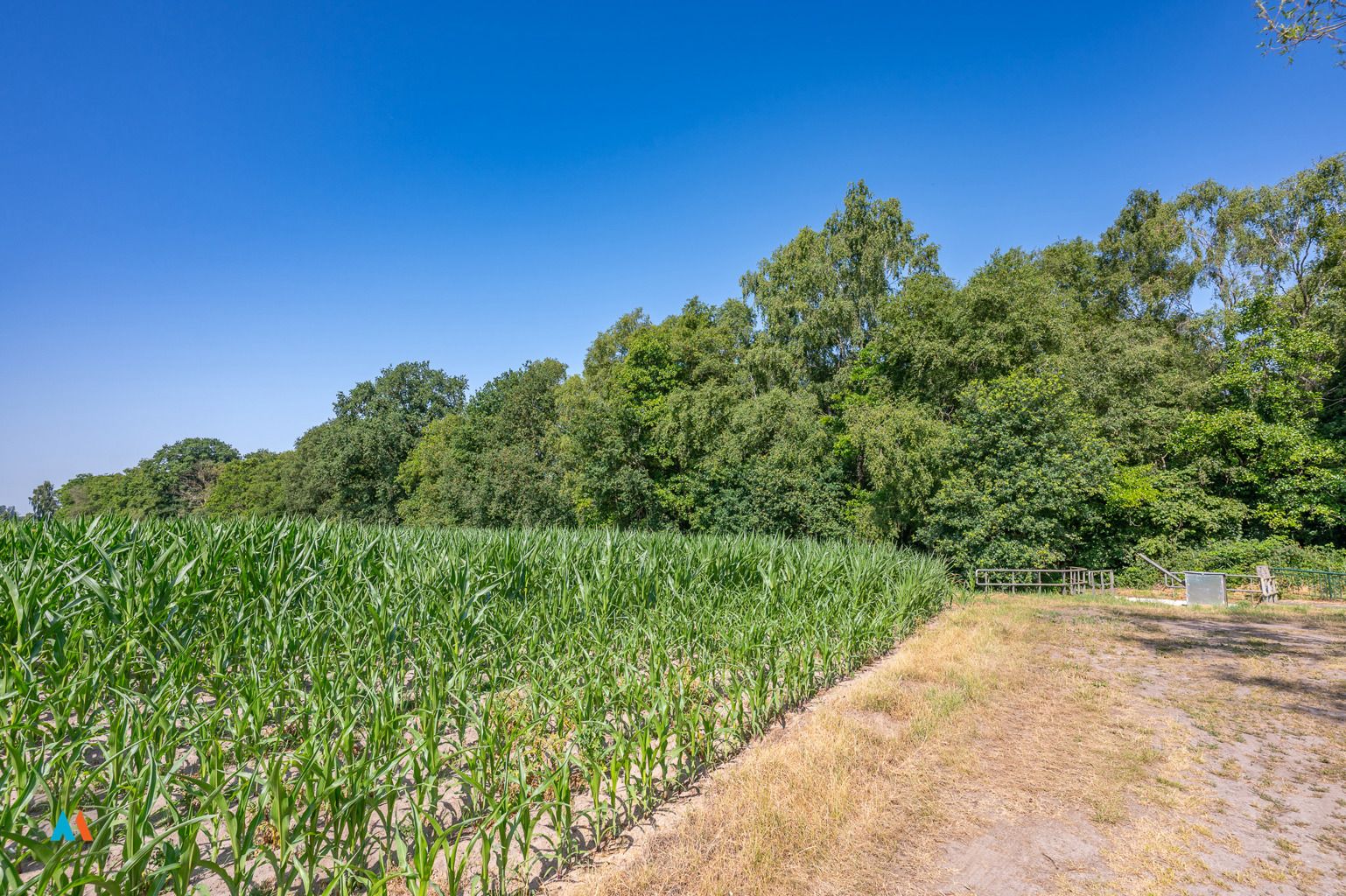 Perceel natuurgrond foto 4