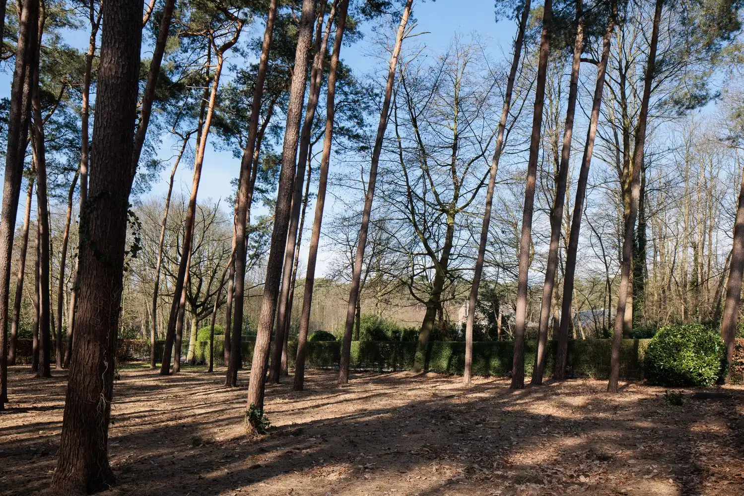 Architecturale woning op een perceel van ca. 6.395 m² foto 30