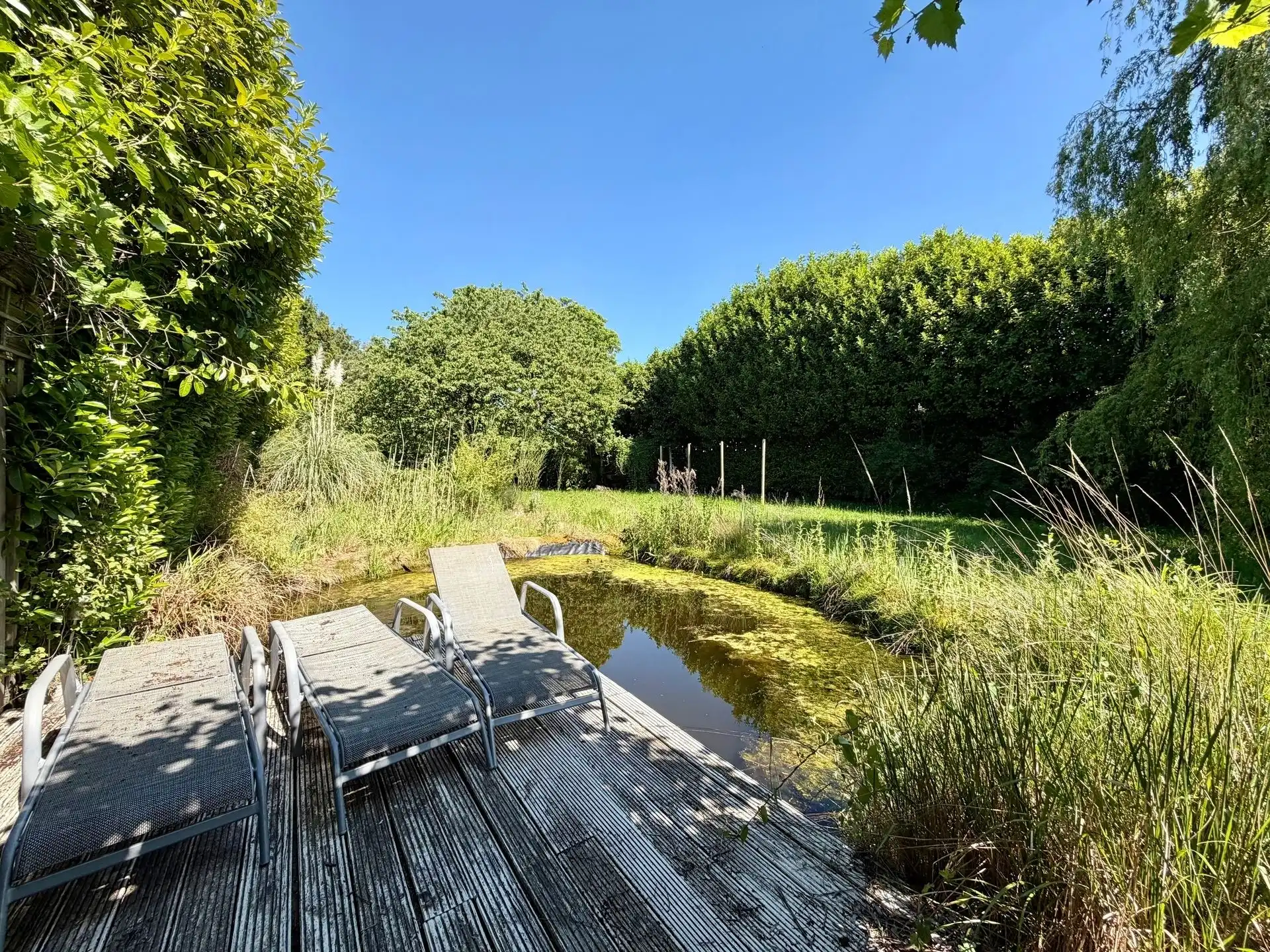 Vrijstaande woning op 25 are met uitzonderlijk renovatiepotentieel in het groen. foto 9