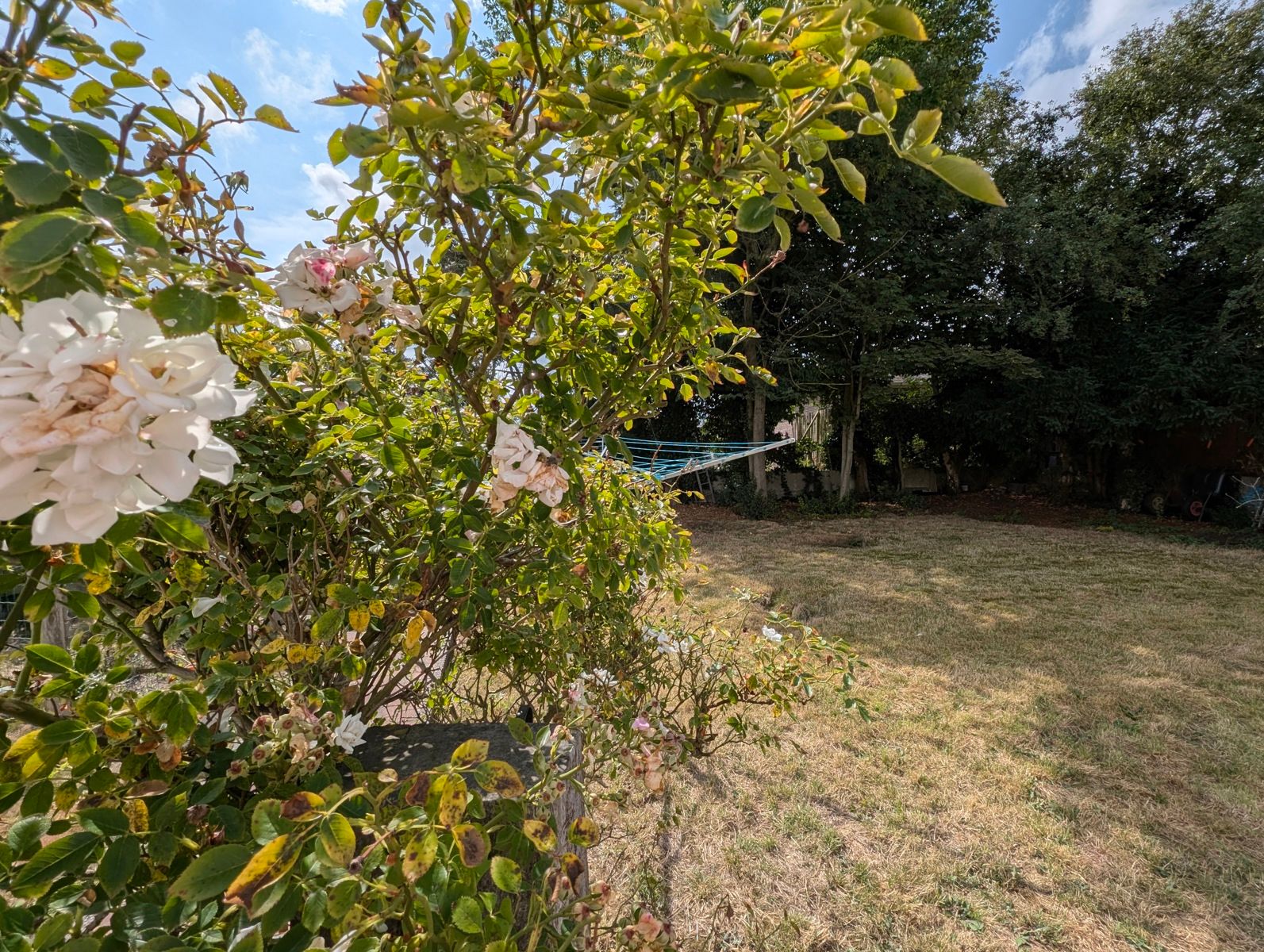 Vrijstaande villaatje met nieuwe keuken & badkamer. (op 519m² grond) foto 27