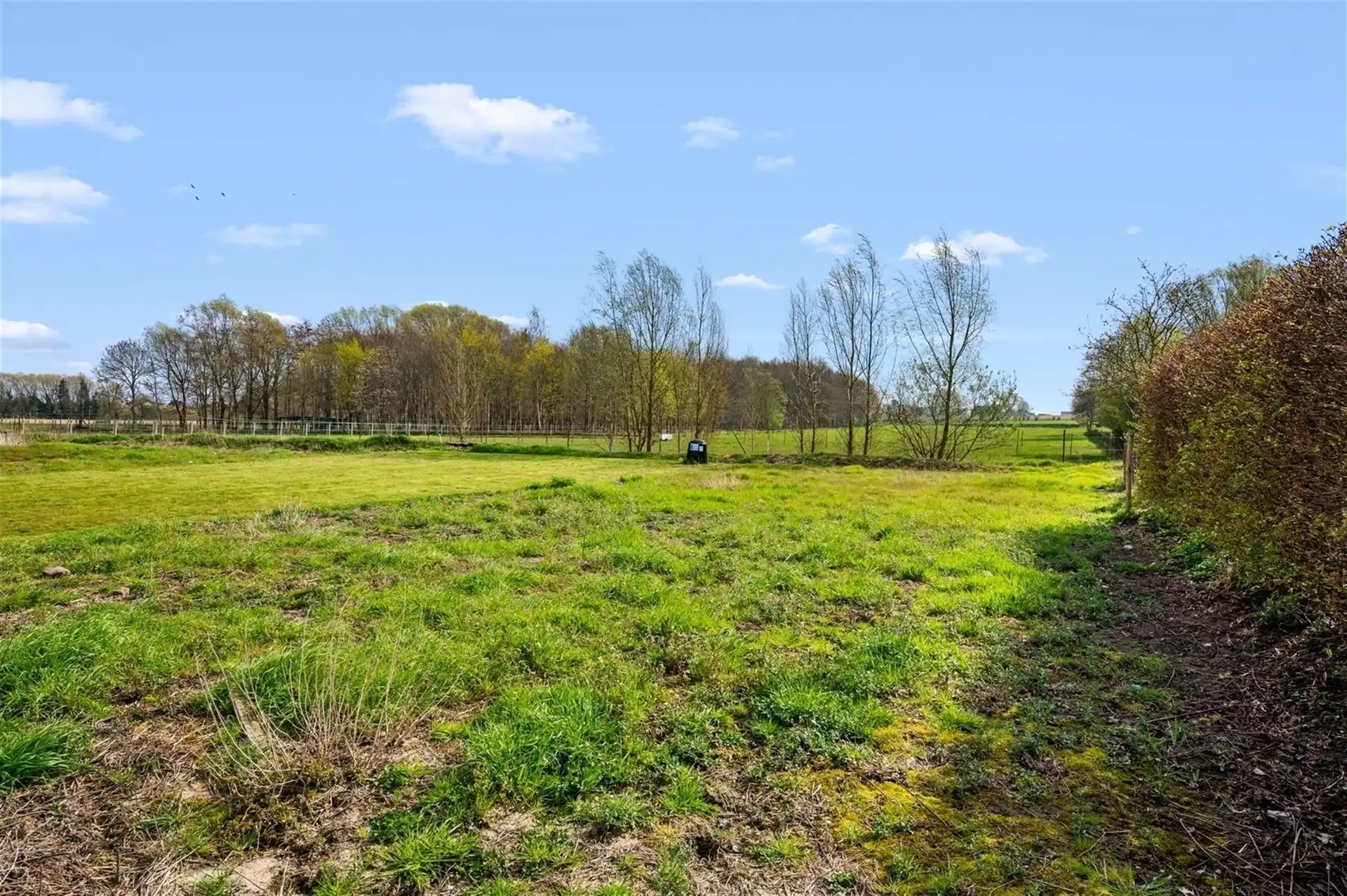 Zeer ruime woning met 4 slpks en tuin foto 27