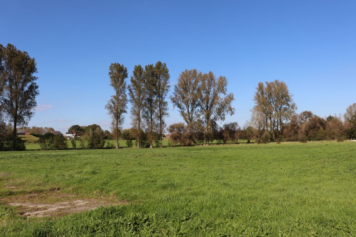 Projectgrond te koop centrum Nieuwenhove (Geraardsbergen) foto 11