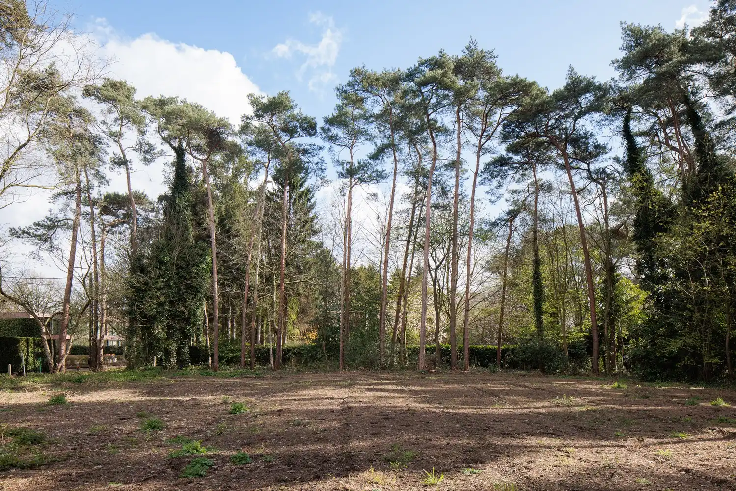 Uitstekend gelegen bouwgrond van ca. 2.993 m2 foto 3