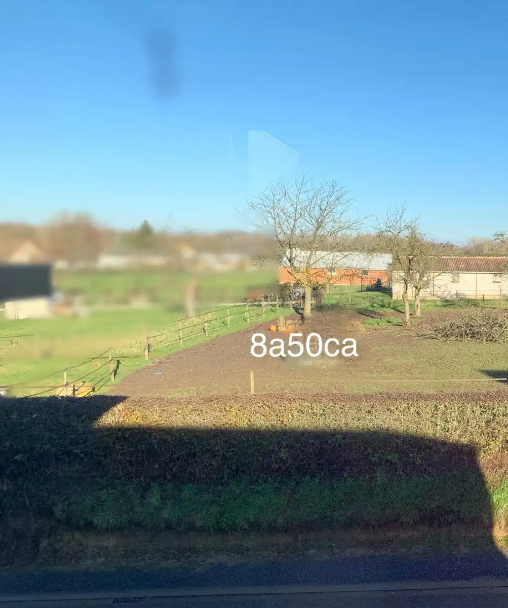 Ruim perceel van 850m² voor open bebouwing in Widooie(Tongeren), perfect voor tuinliefhebbers! foto 3