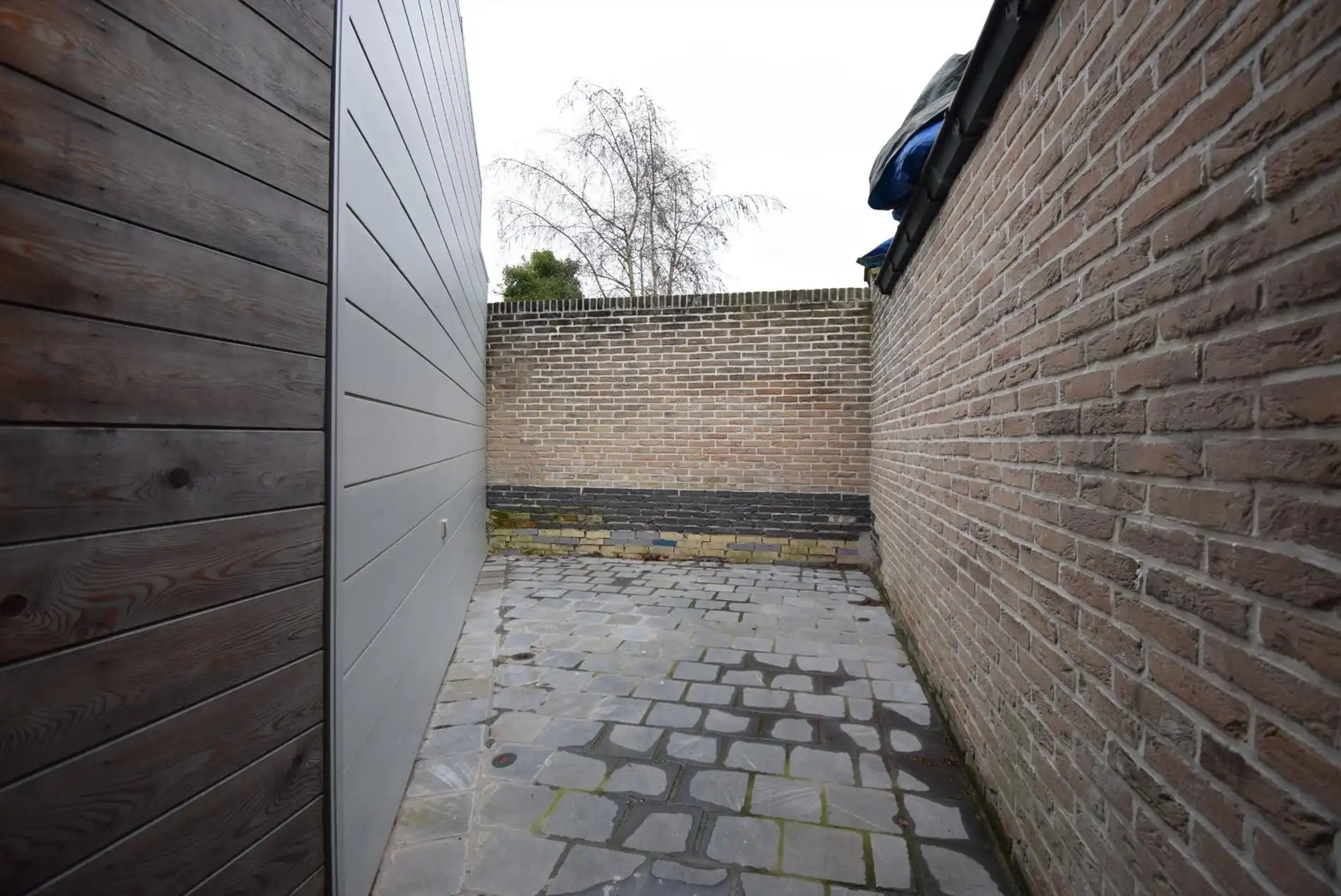 KNUSSE RIJWONING MET KOER foto 10