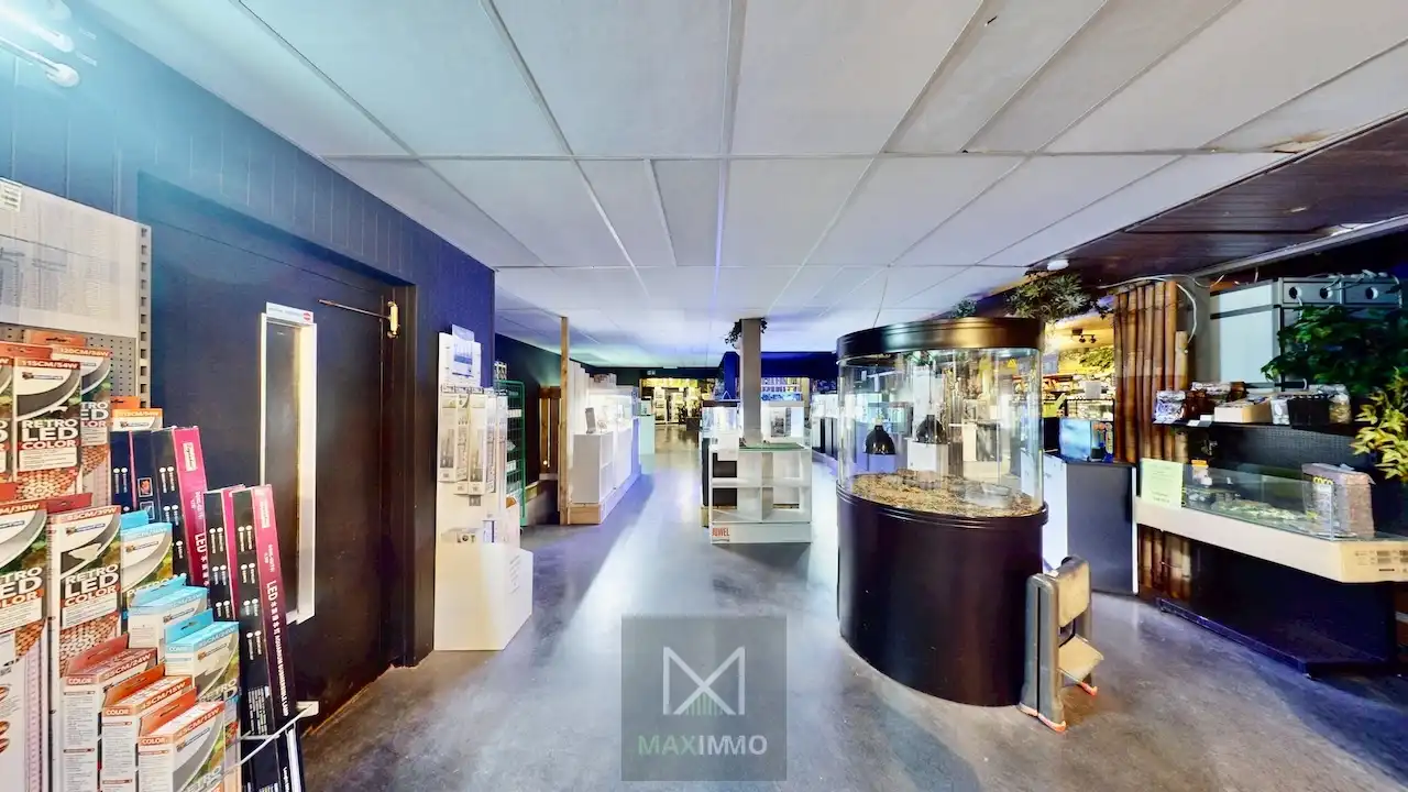 Het grootste handelspand van de Rijselstraat – meer dan 630 m² commerciële mogelijkheden foto 5