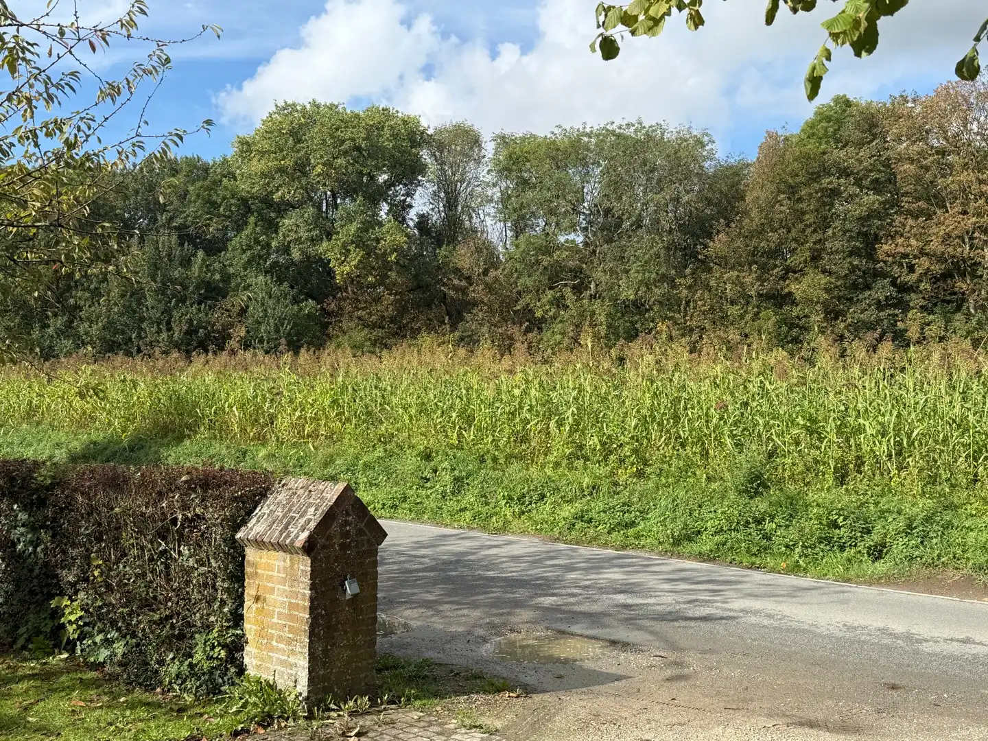 Wonen tegenover Bellegembos? Hier kan het! foto 18