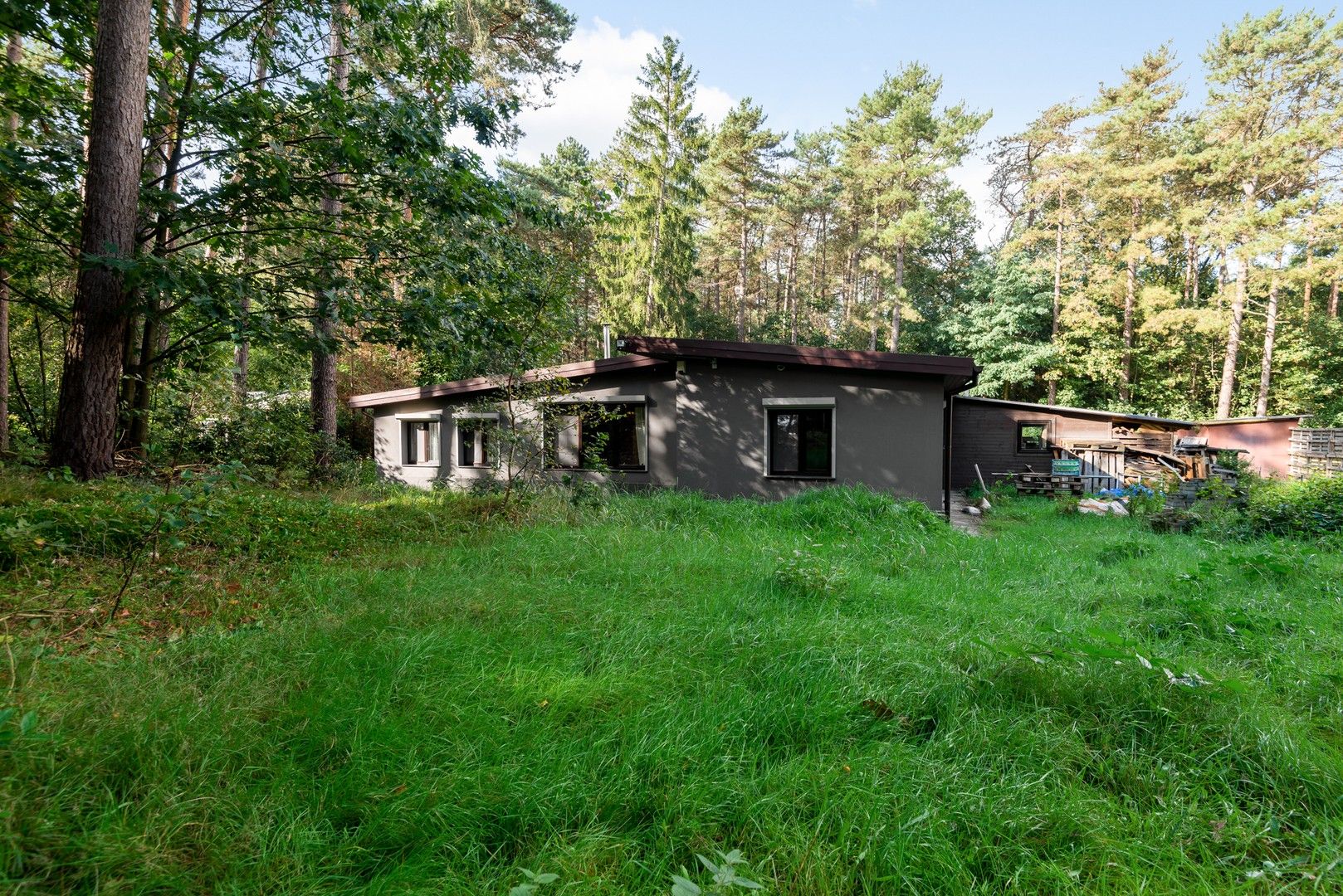 Vrijstaande woning in het groen op 1006 m² met 3 slaapkamers foto 16