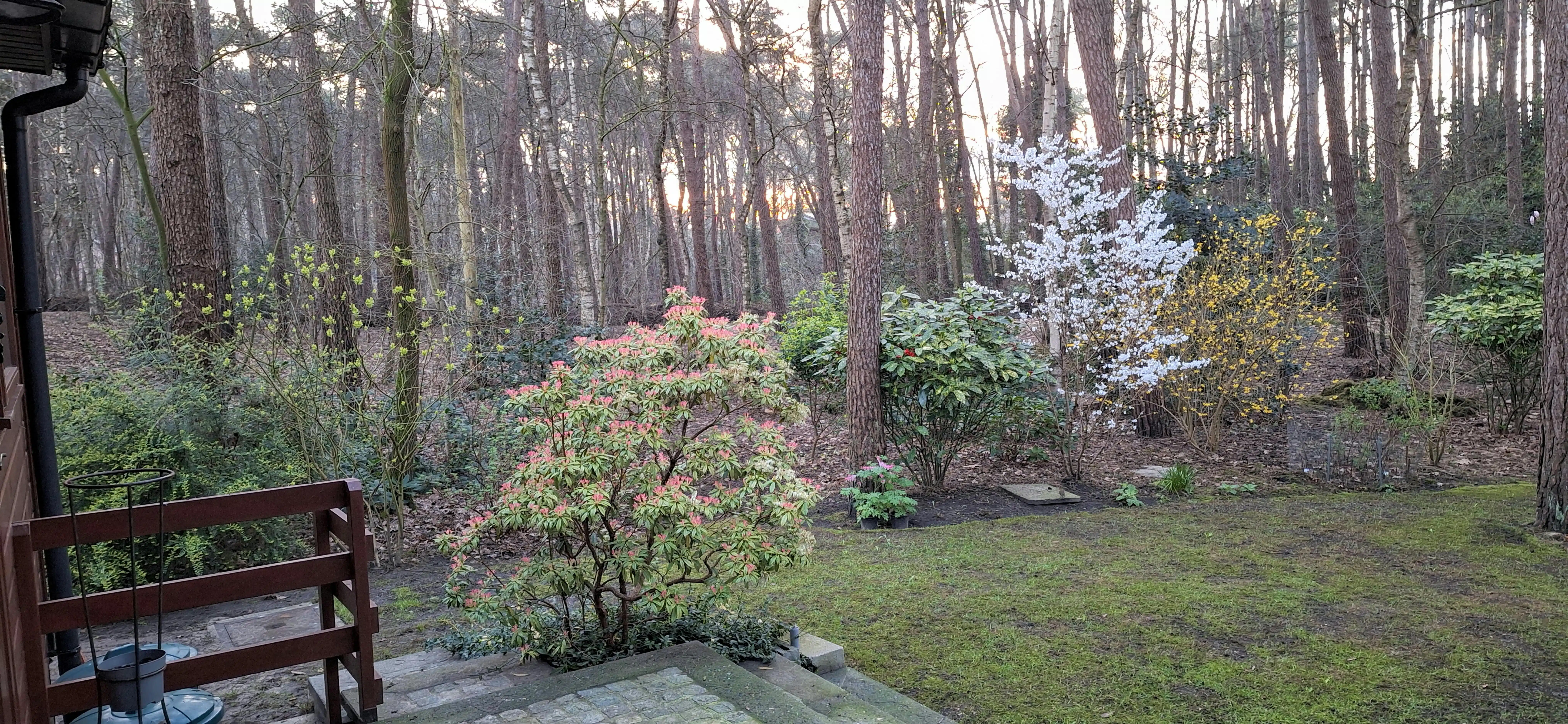 Verzorgde woning op prachtige bosgrond te koop in Wuustwezel foto 26