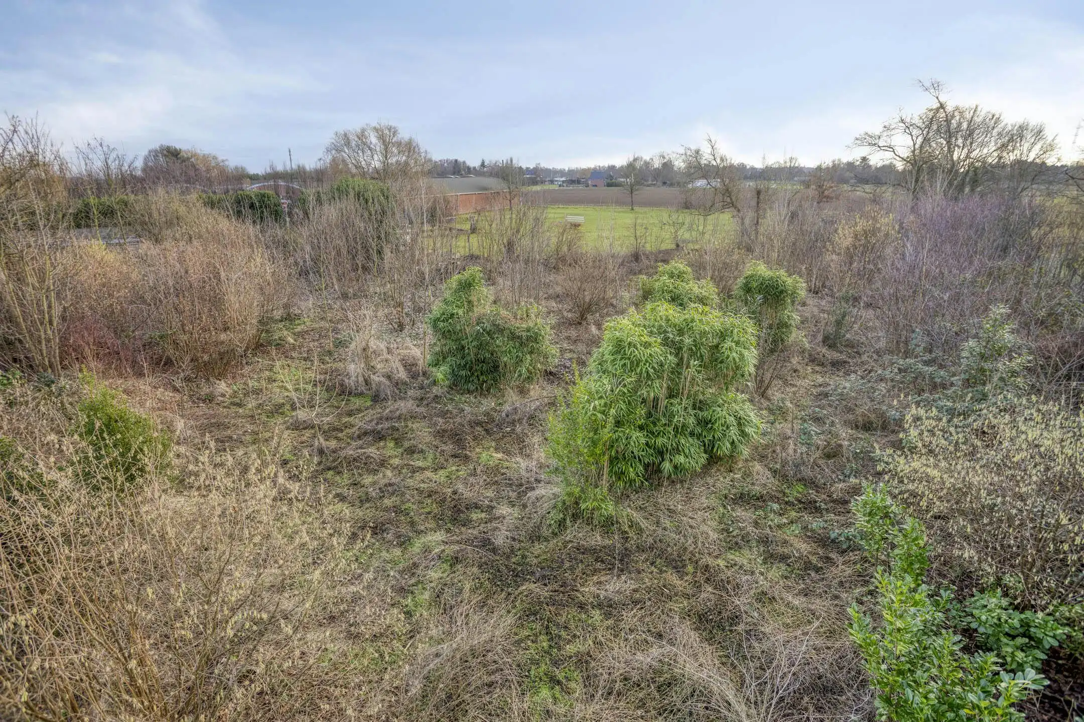 Huis met 5 slaapkamers en landbouwgrond van 3.150m² in Wommelgem! foto 33