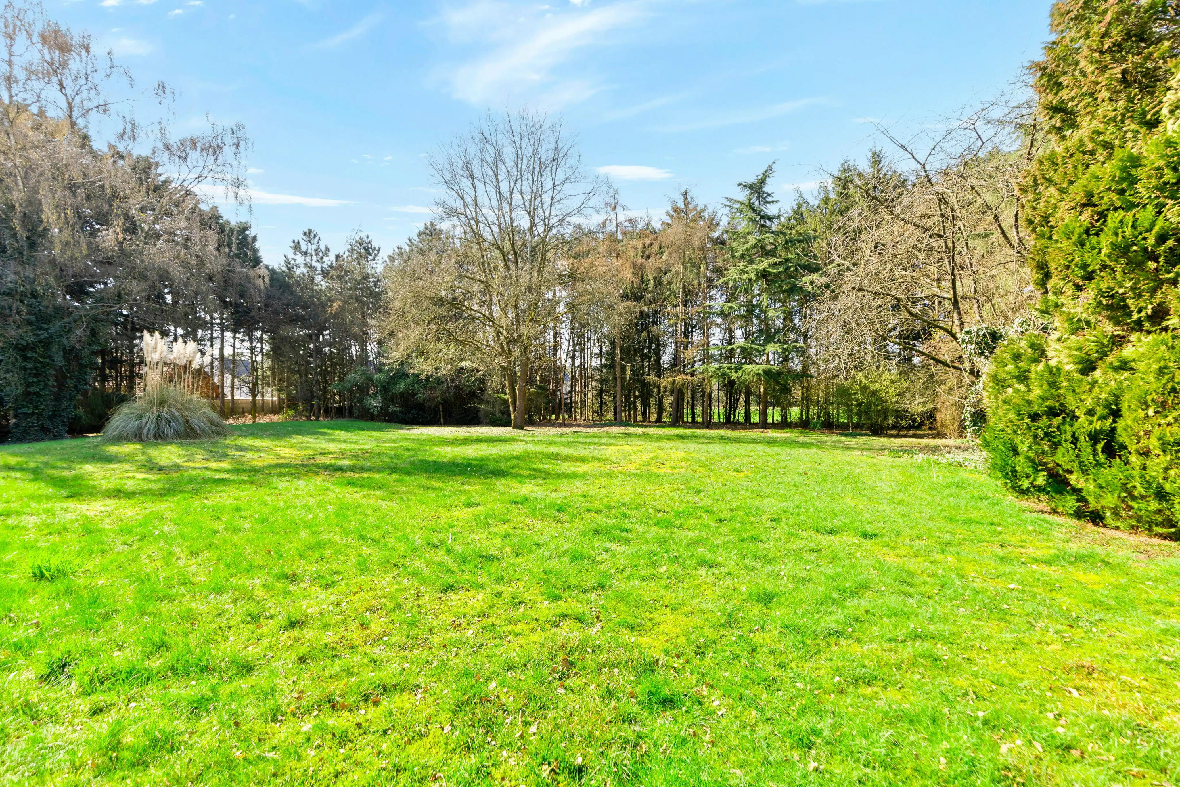 Woning en groot bijgebouw op 8.347m² in Sint-Job-in-’t-Goor foto 32