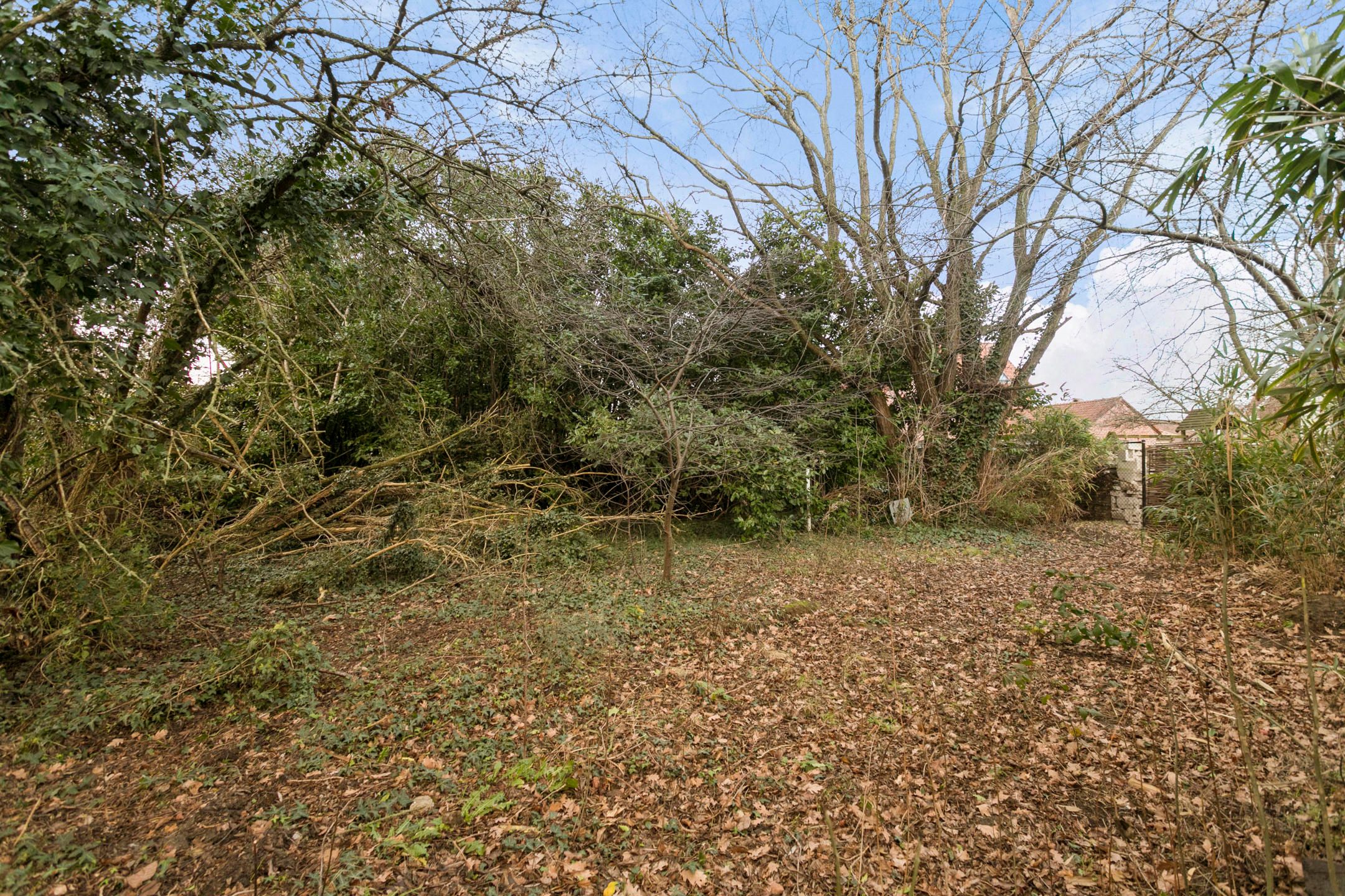 Westgerichte bouwgrond in rustige wijk  foto 6