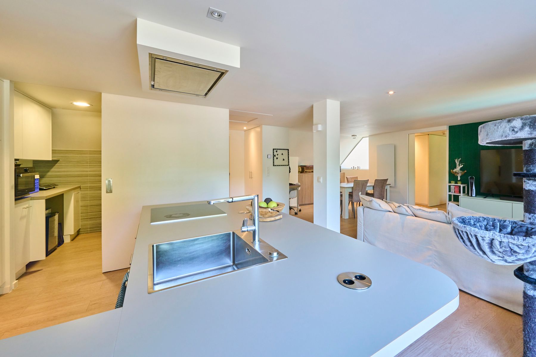 Exclusieve woning met handelzaak,appartement, zwembad en lift. foto 54