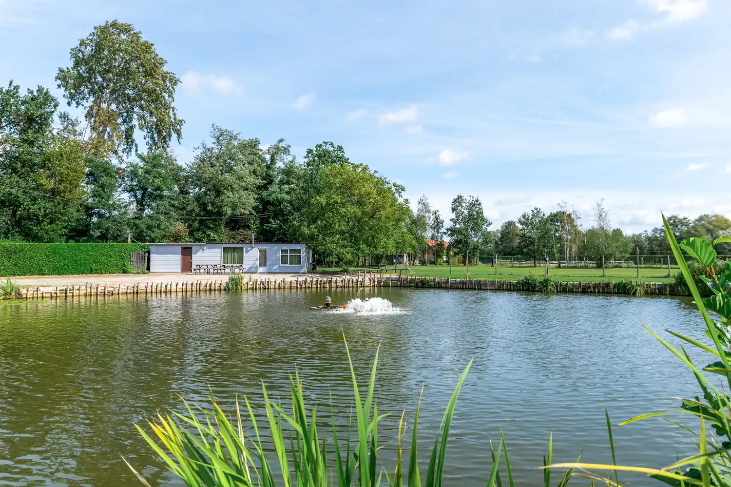 Gerenoveerde villa met bijgebouw en vijver op een perceel van 1,8 ha te Putte foto 22
