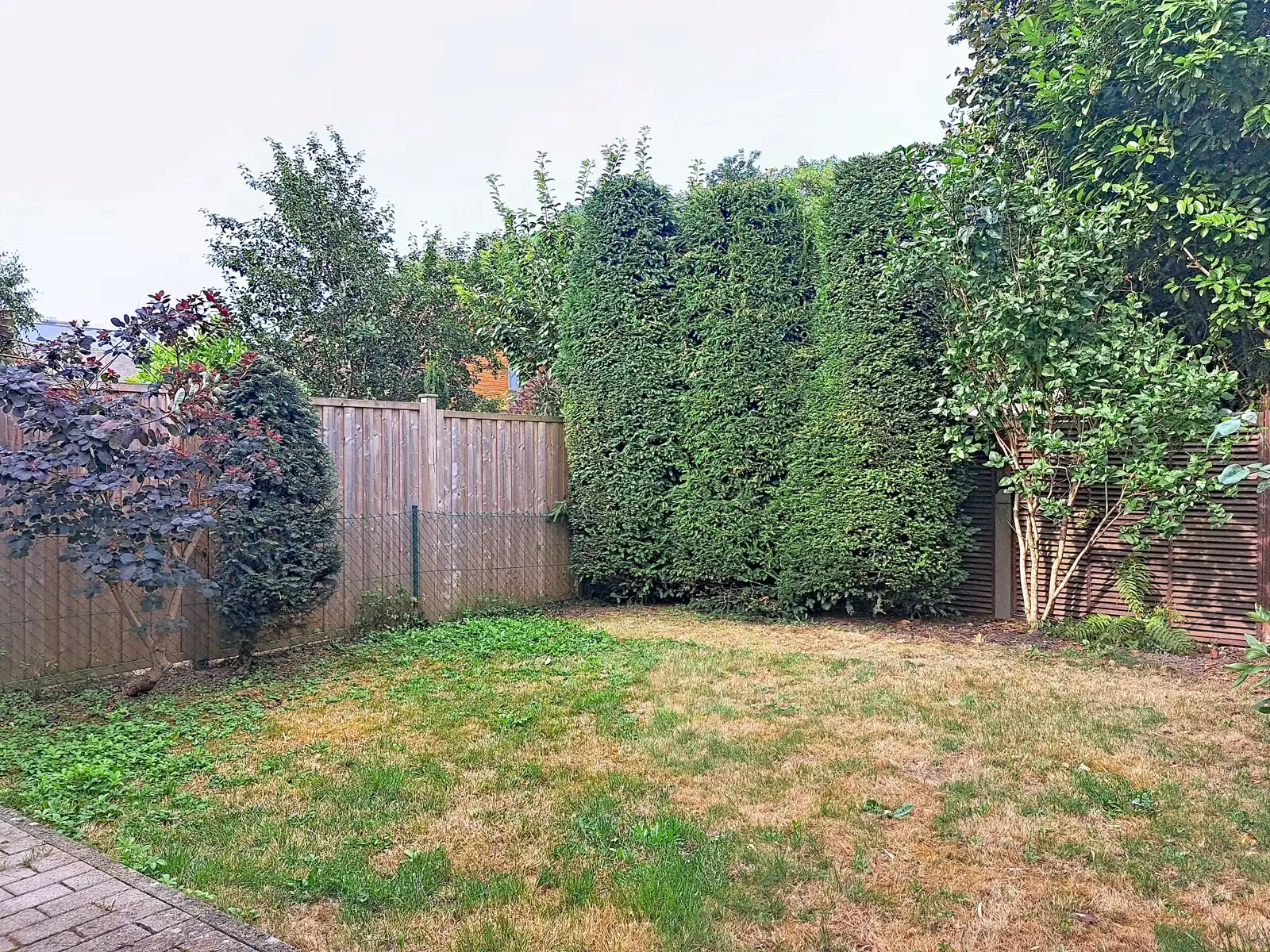 Huis te huur foto 17