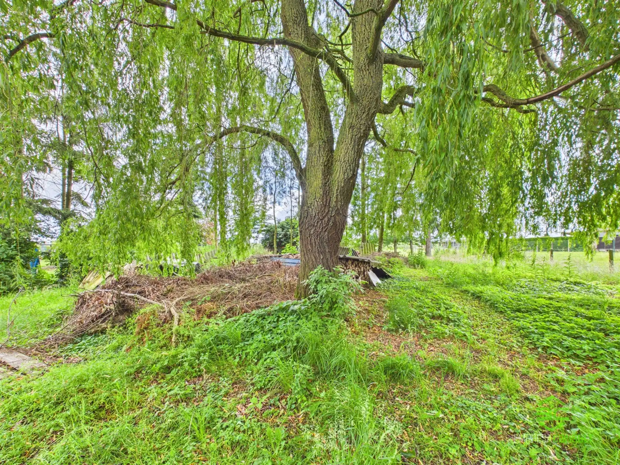 Te renoveren hoeve in Rummen op 22a 32ca! foto 13