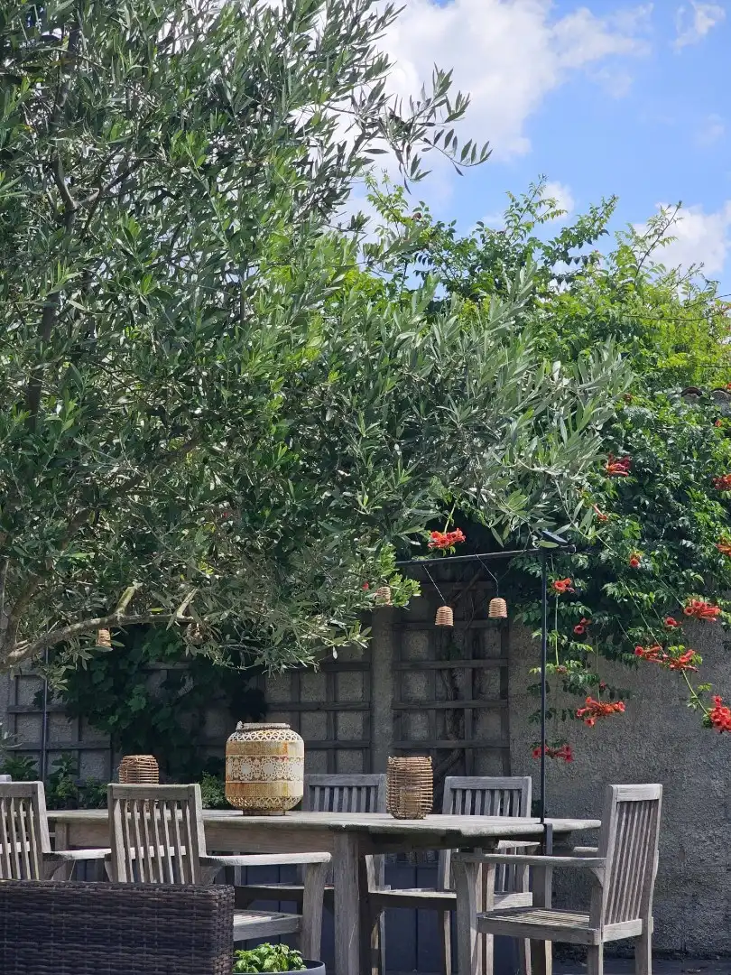 INSTAPKLARE WONING MET 3SLP, TUIN & GARAGE! foto 23