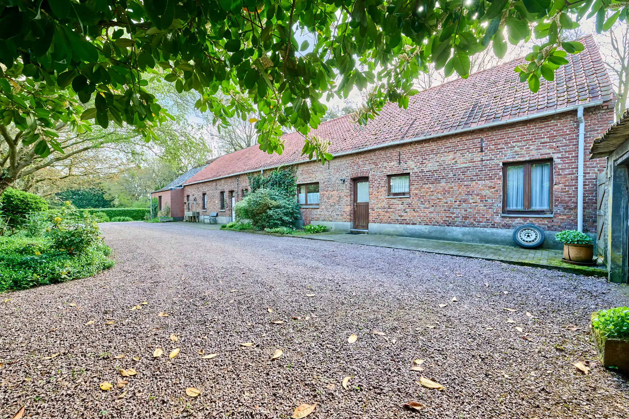 TE RENOVEREN WONING MET VEEL MOGELIJKHEDEN OP 3HA 54A38 CA foto 3