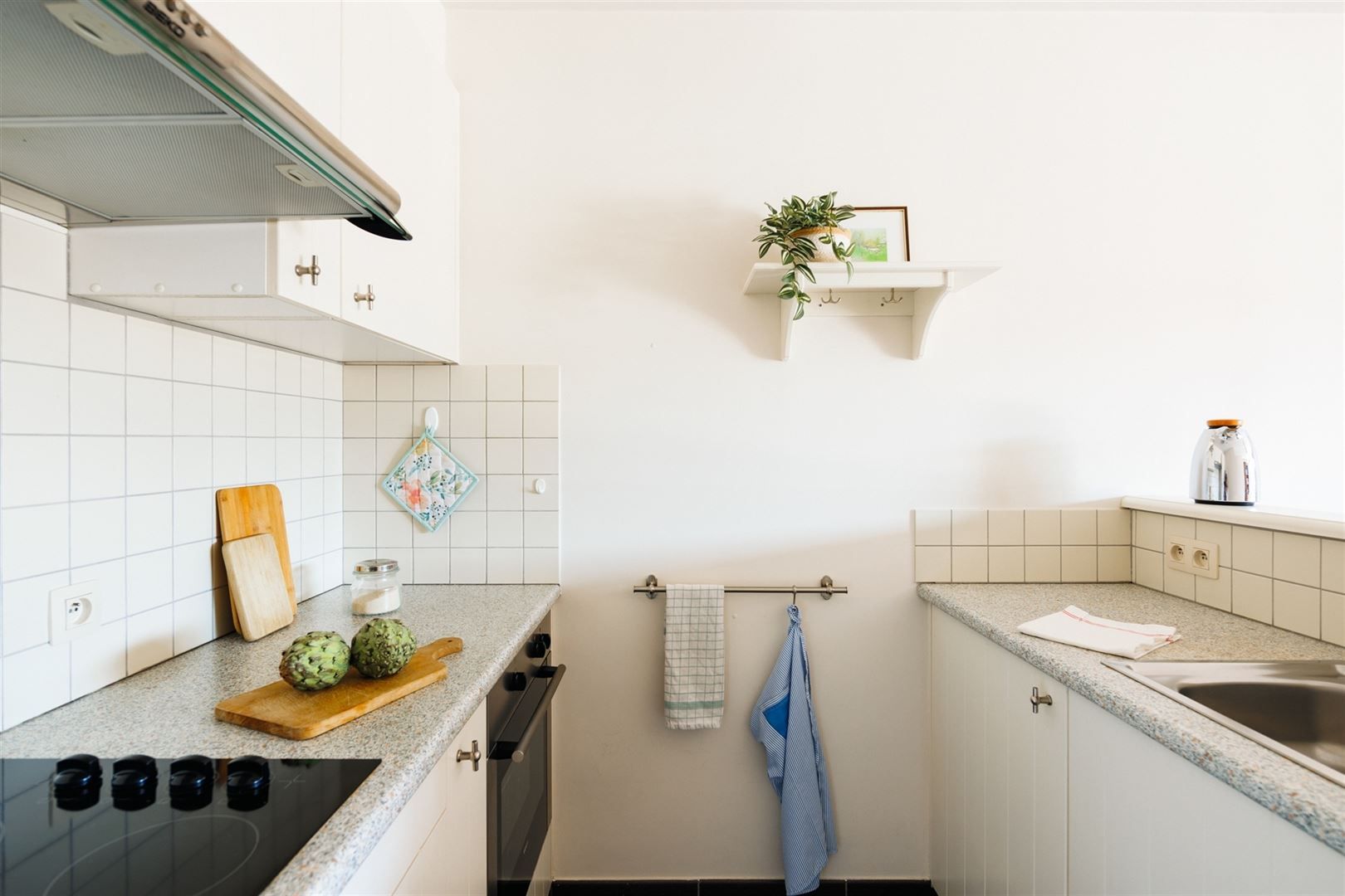Instapklaar appartement met groot terras en autostaanplaats foto 8