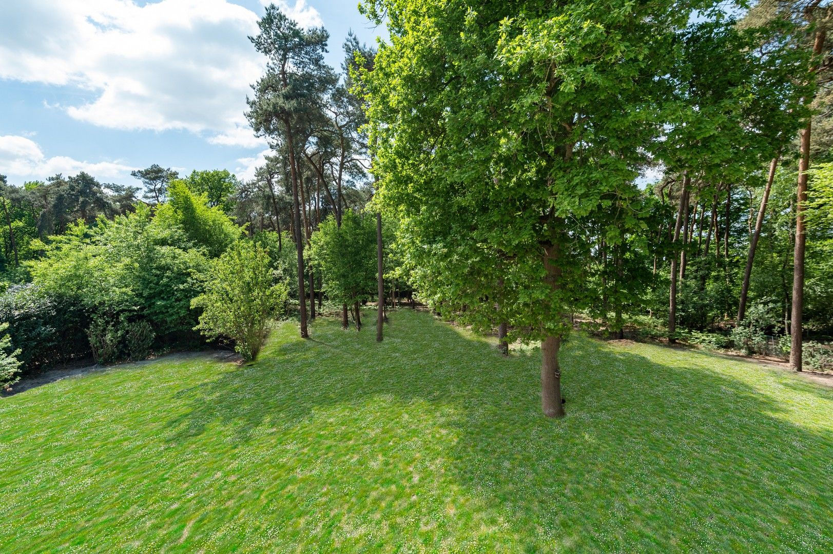 Moderne nieuwbouwvilla op prachtig perceel 4.718 m² - 2% RR! foto 15