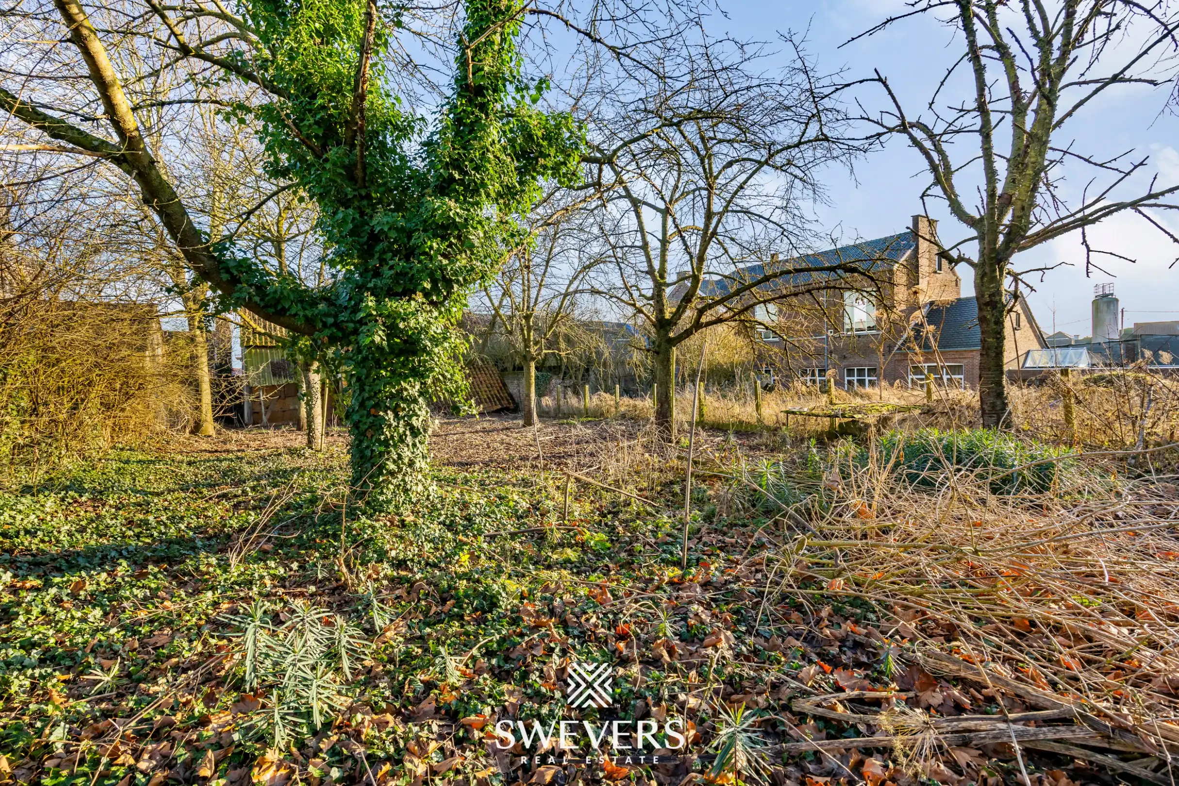 Charmante woning met potentieel te Heers   foto 29