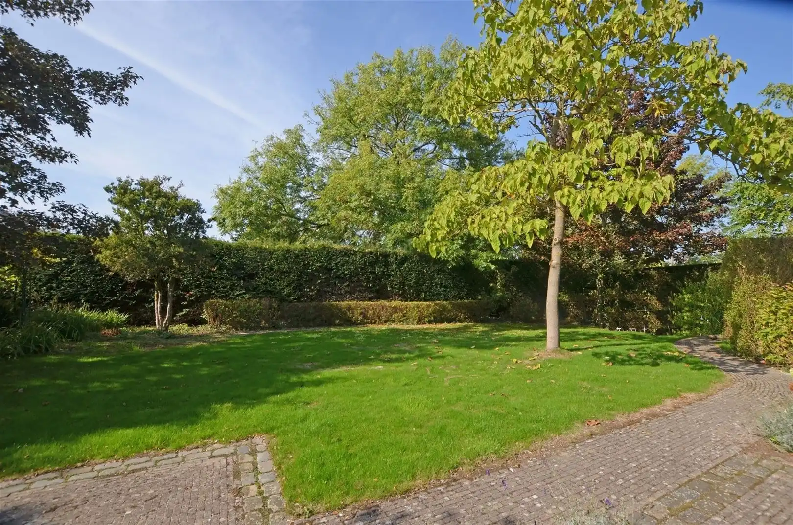 Prachtige te renoveren villa centrum Stevoort foto 5