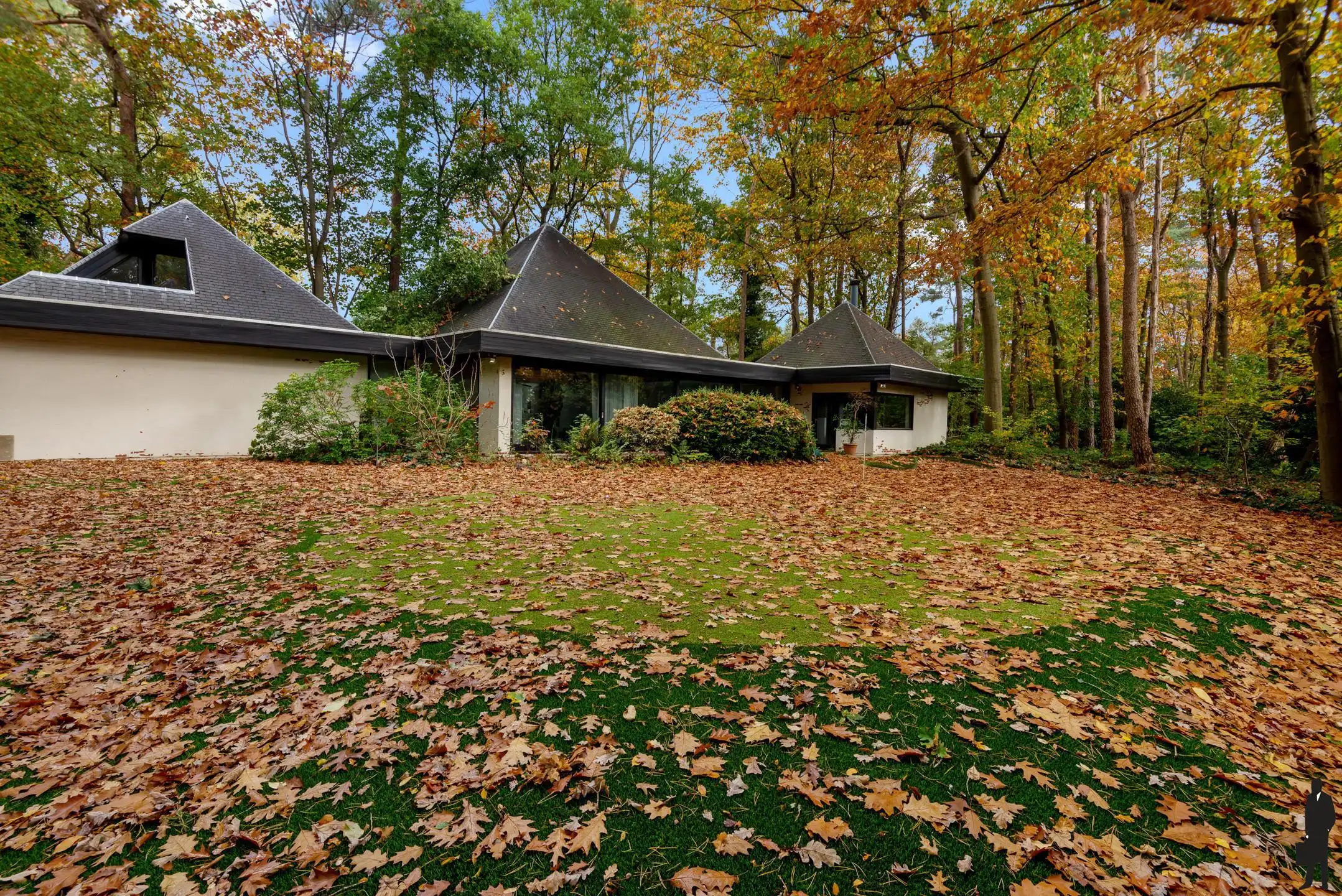 Verscholen in de natuur, in 1 van de mooiste lanen van Vriesdonk, rustig en residentieel: Architectenwoning op ca. 5.710 m².  foto 2