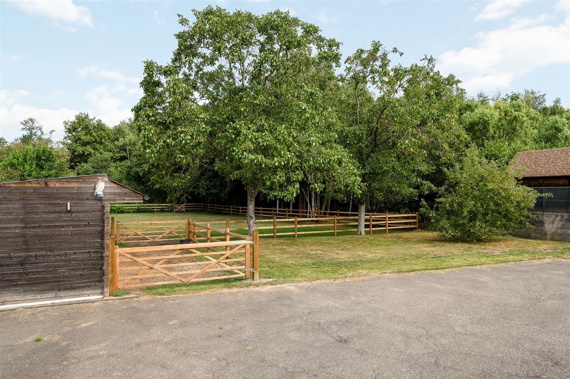 ZEER RUIME EN RECENT GERENOVEERDE WONING OP EEN PERCEEL VAN 2367m² UITGERUST MET EEN VERGUNDE PAARDENSTAL EN ACHTERLIGGENDE WEIDE foto 27