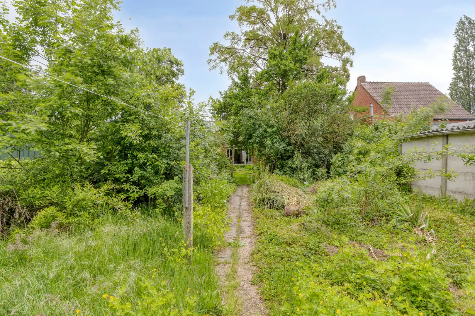 Te renoveren woning, rustig gelegen op een zonnig perceel van 767 m² te Olen-Centrum ! foto 33