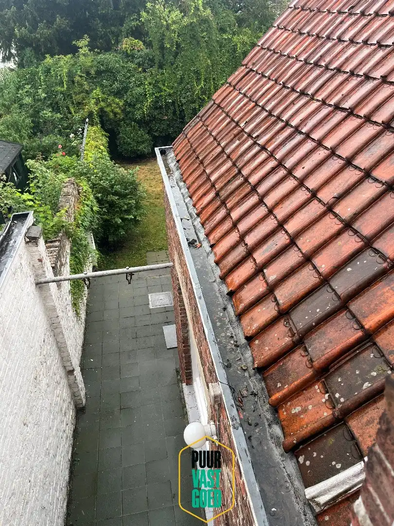 Op te knappen belle-époque woning met 'ziel' en een heel toffe tuin foto 18