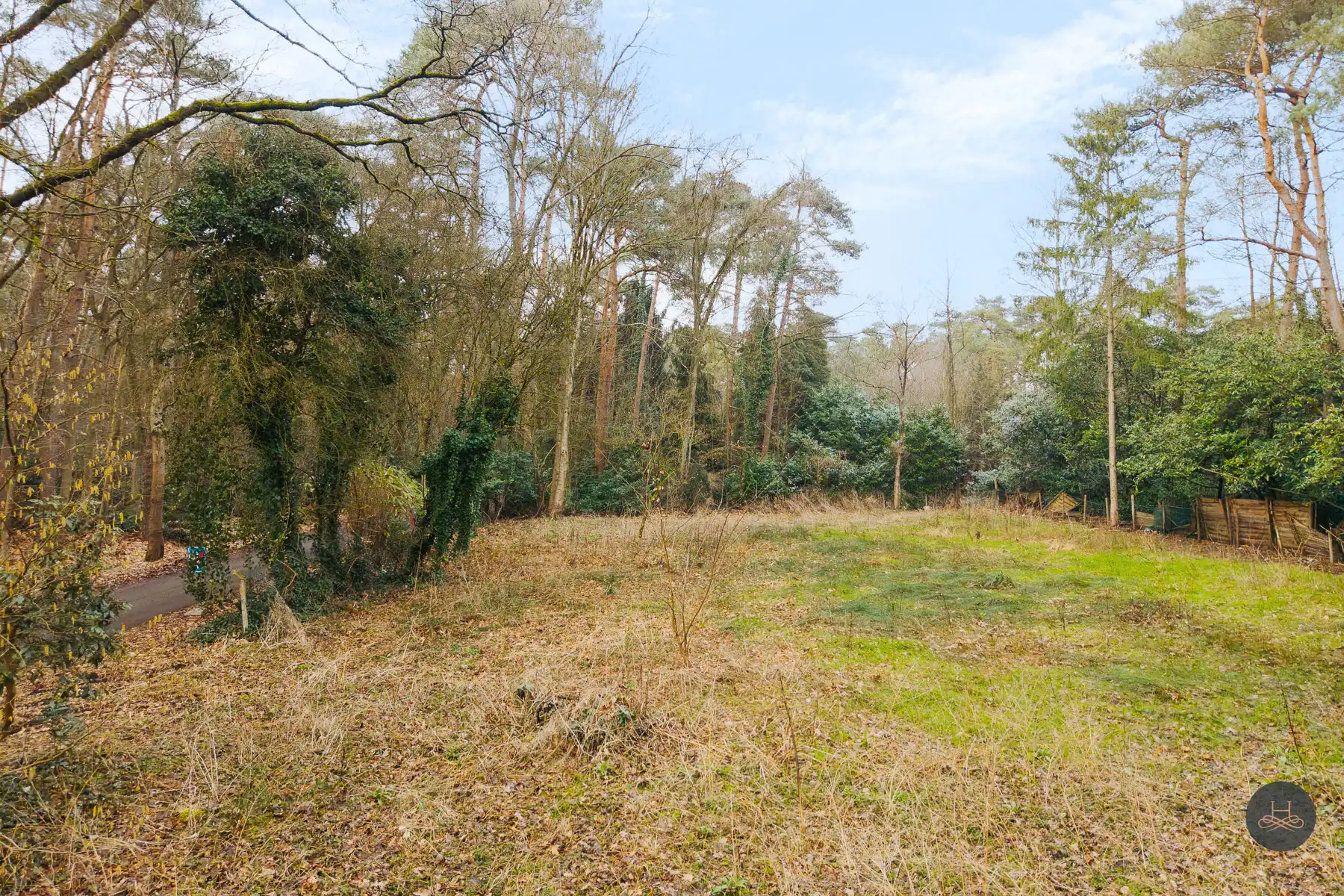 Prachtige bouwgrond van 10 are in bosrijke omgeving in Schilde foto 4