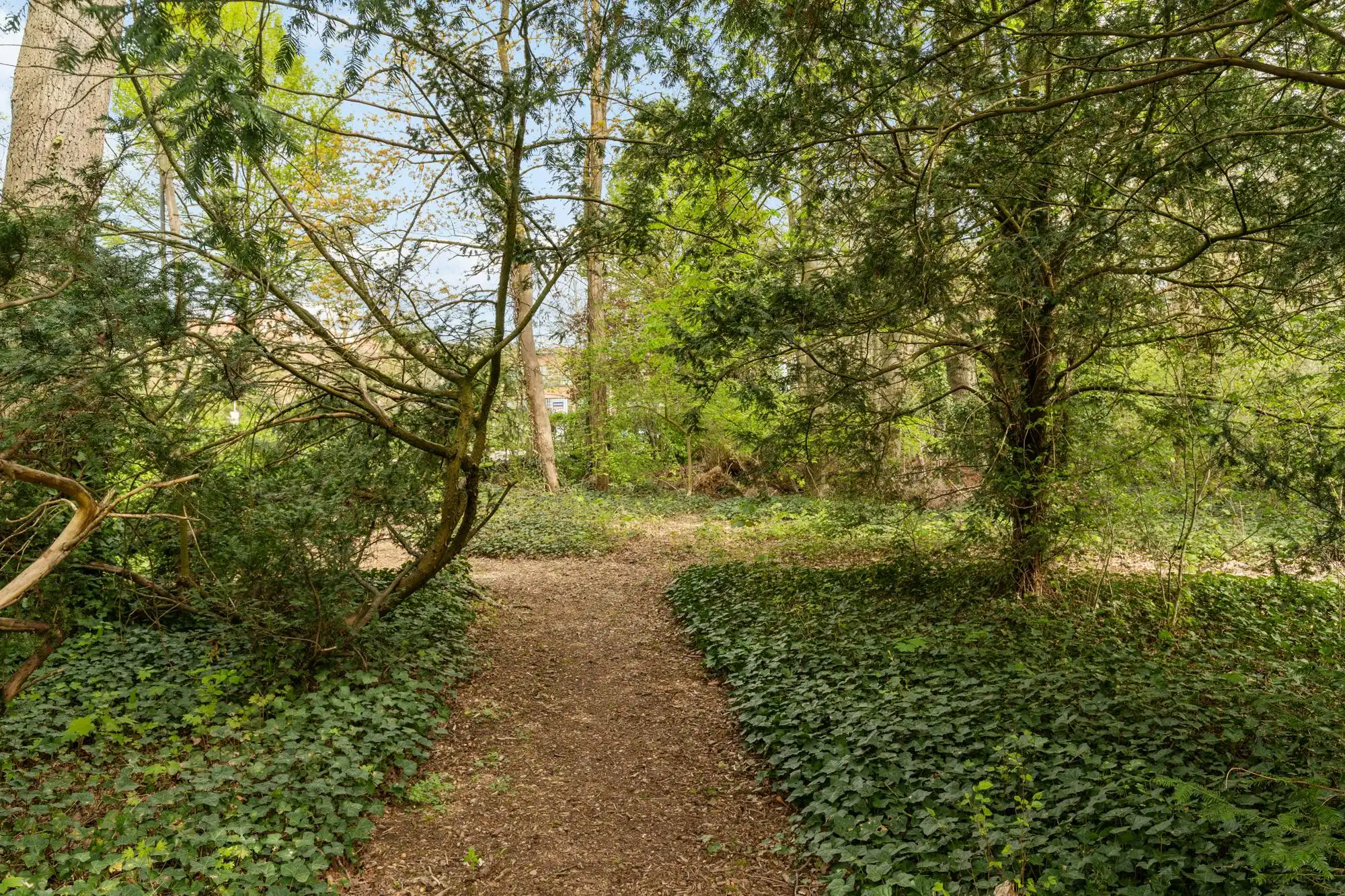 Villa Zwart Goud: iconisch leven in historische grandeur foto 23