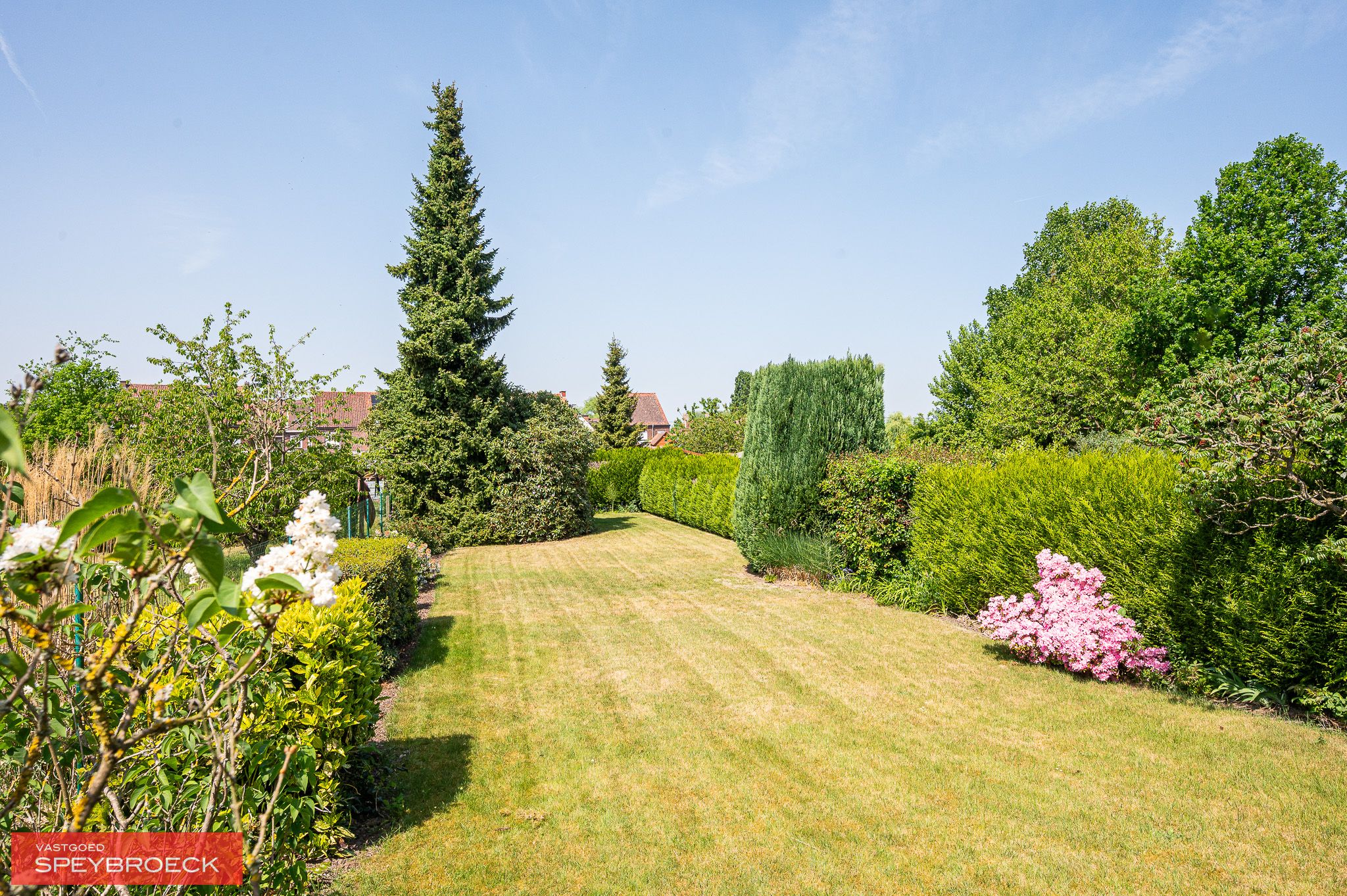 TE KOOP in Asper aan de P. Ceuterickstraat 29 foto 8