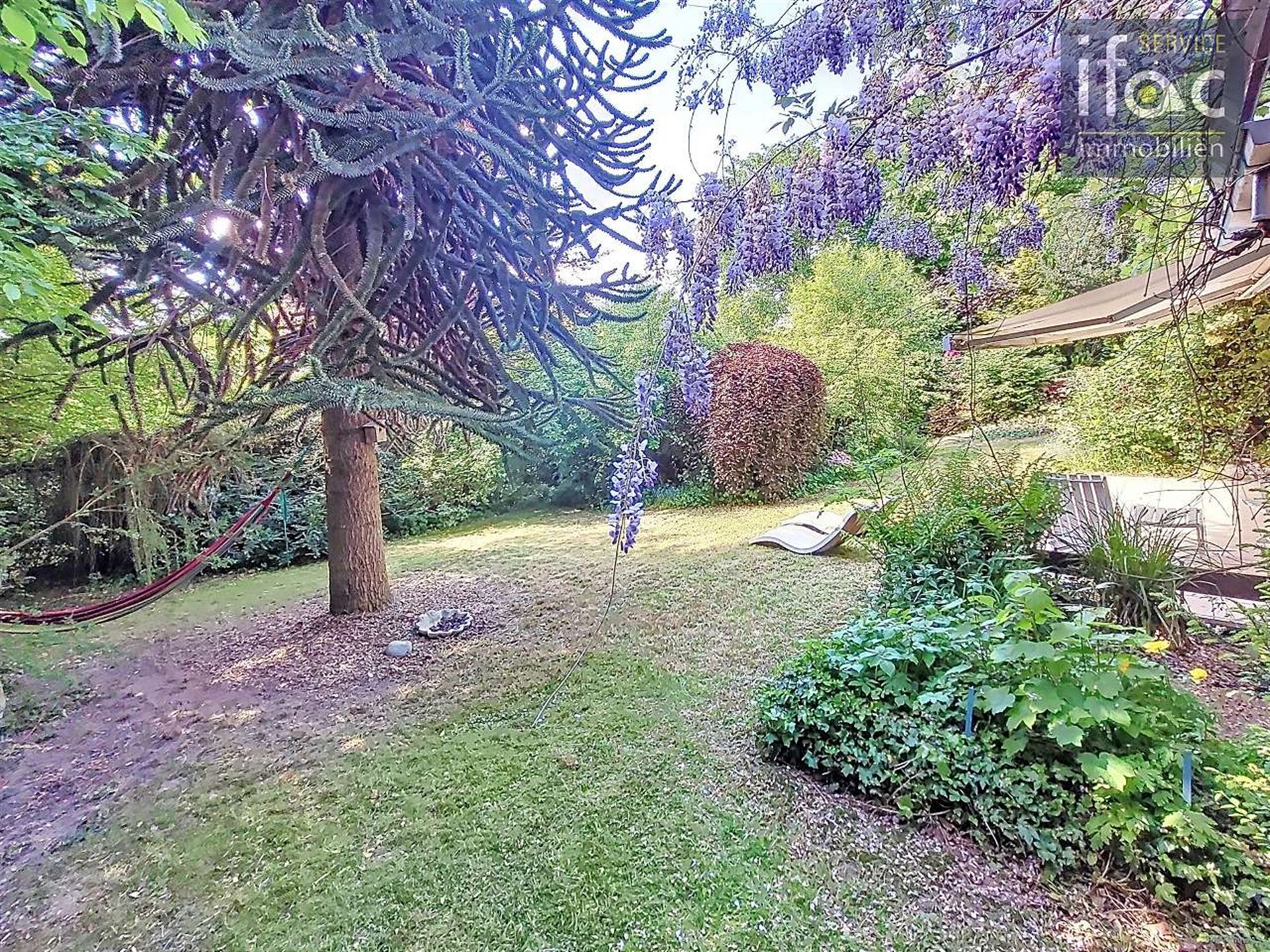 Zonovergoten te renoveren villa nabij Zoniënwoud foto 14