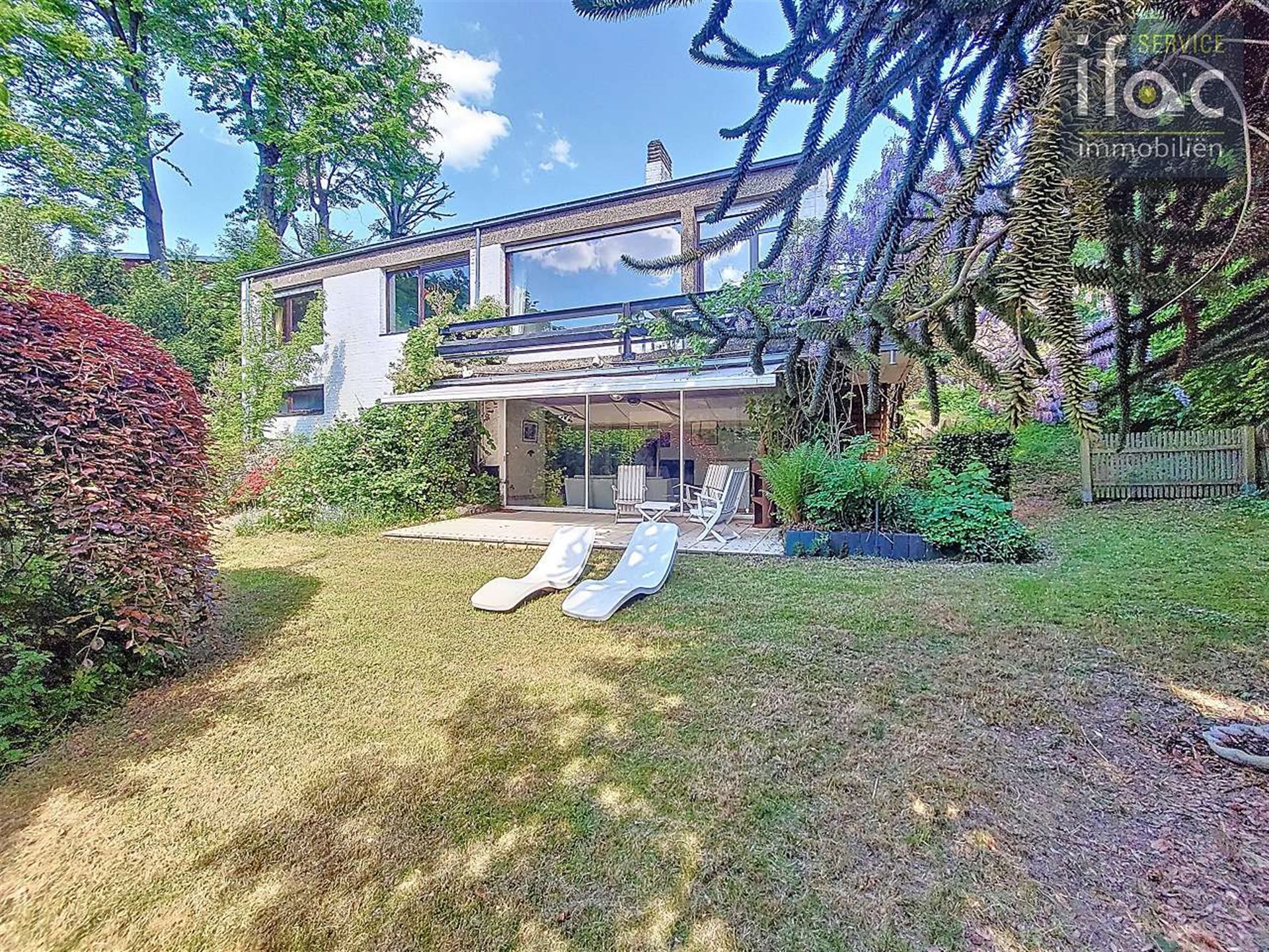 Zonovergoten te renoveren villa nabij Zoniënwoud foto 14
