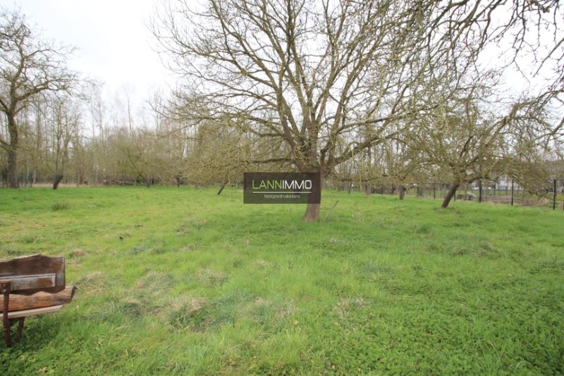 Projectgrond met boomgaard foto 3